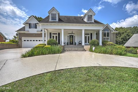 Tiny photo for 208 Park Ridge Court, Kingsport, TN 37664 (MLS # 9984509)