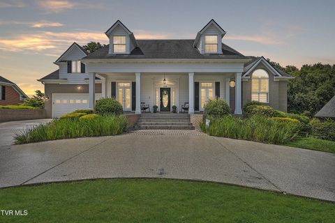 Tiny photo for 208 Park Ridge Court, Kingsport, TN 37664 (MLS # 9984509)