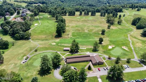 Tiny photo for 208 Park Ridge Court, Kingsport, TN 37664 (MLS # 9984509)