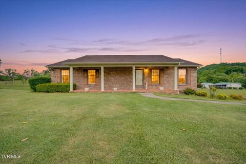 Photo of 453 Twin Barns Road, Greeneville, TN 37743 (MLS # 9994697)