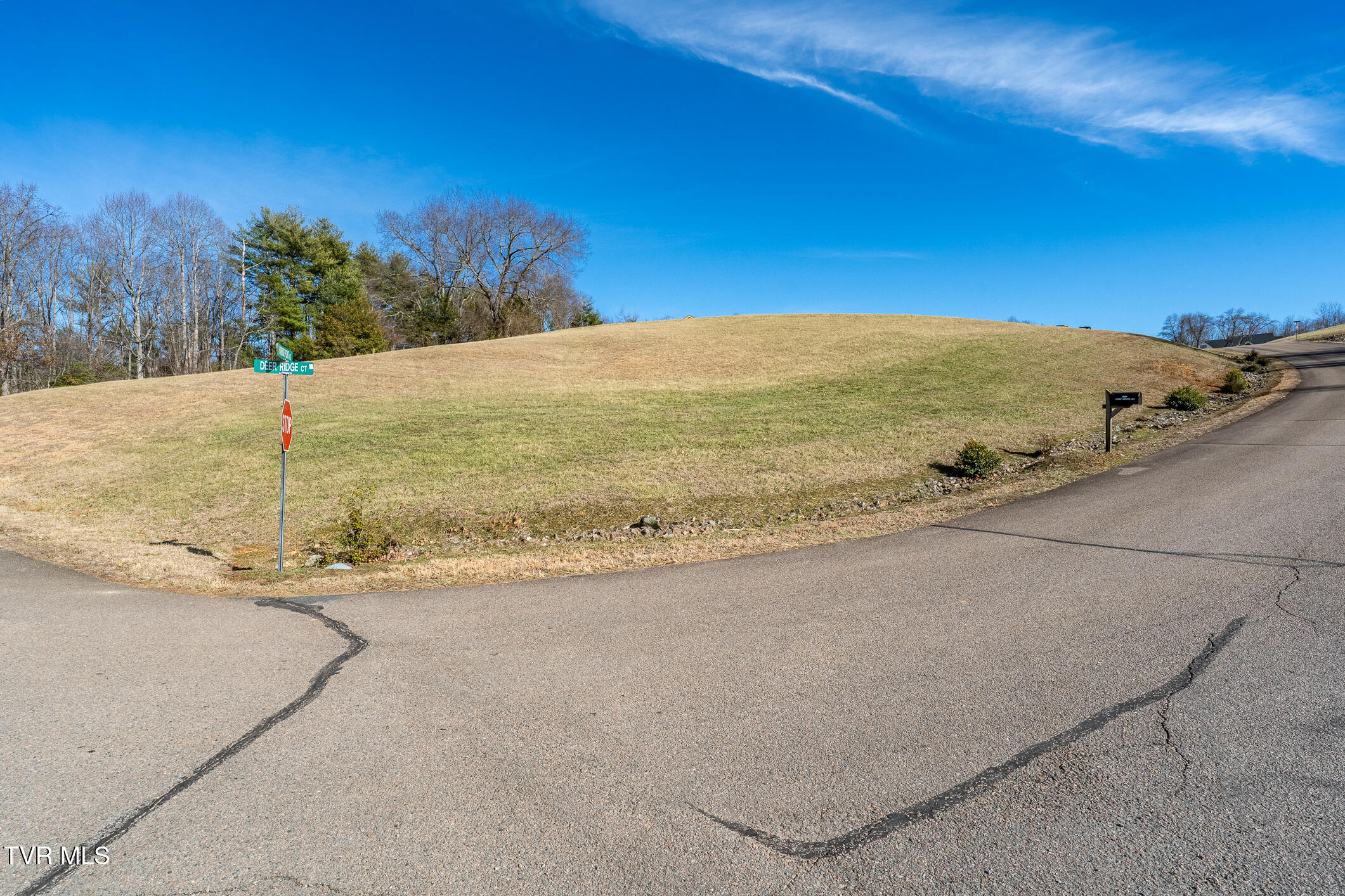 000 Deer Ridge Court, Butler, Tennessee image 24