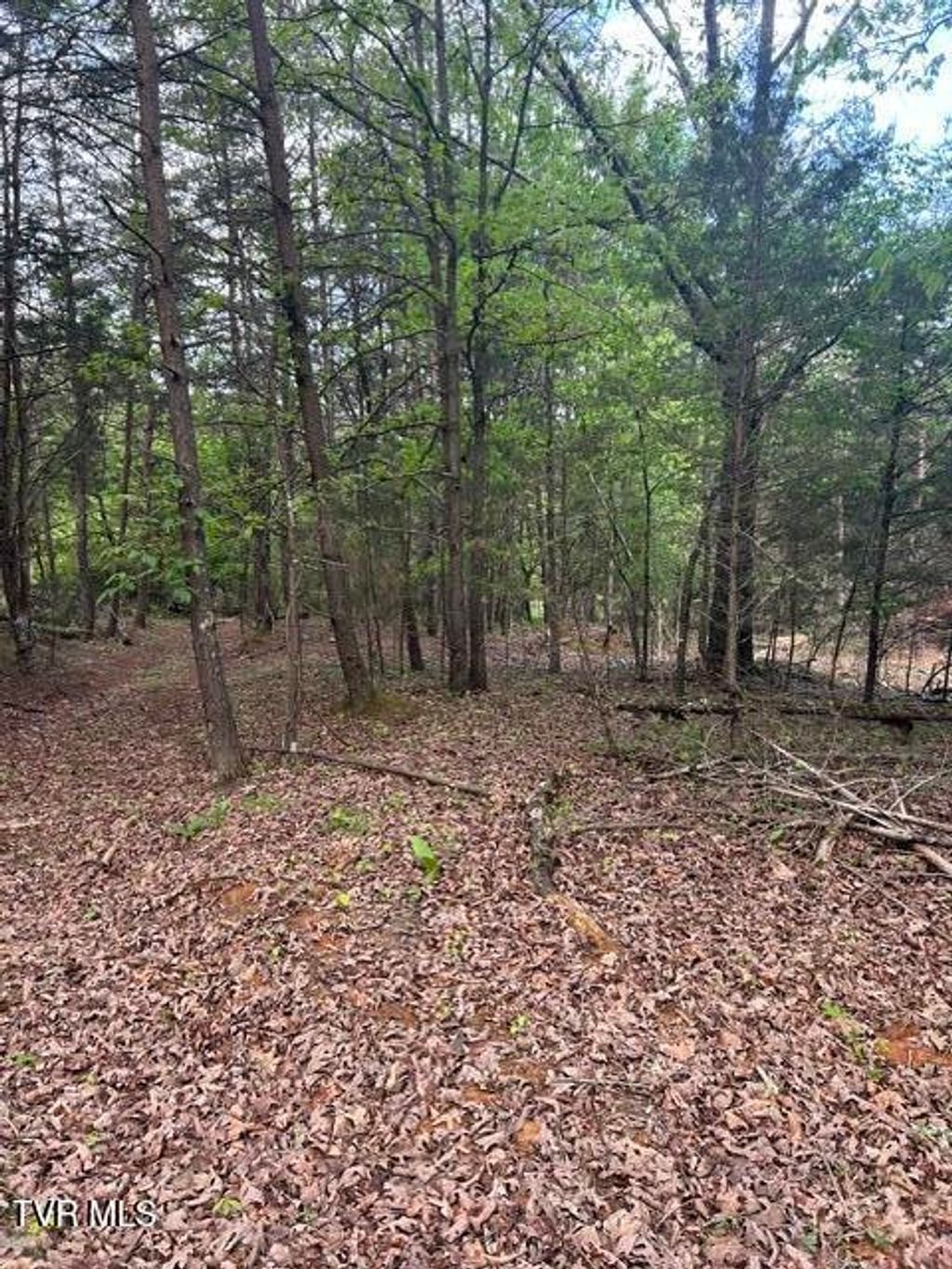 Photo of Tbd Buncombe Road, Blountville, TN 37617 (MLS # 9995198)