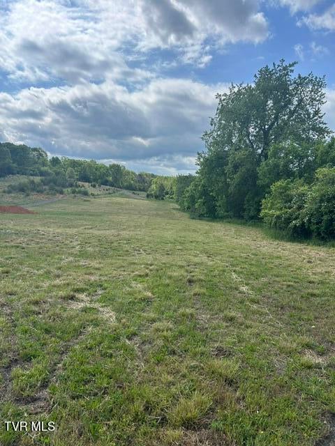 Photo of Tbd Buncombe Road, Blountville, TN 37617 (MLS # 9995198)