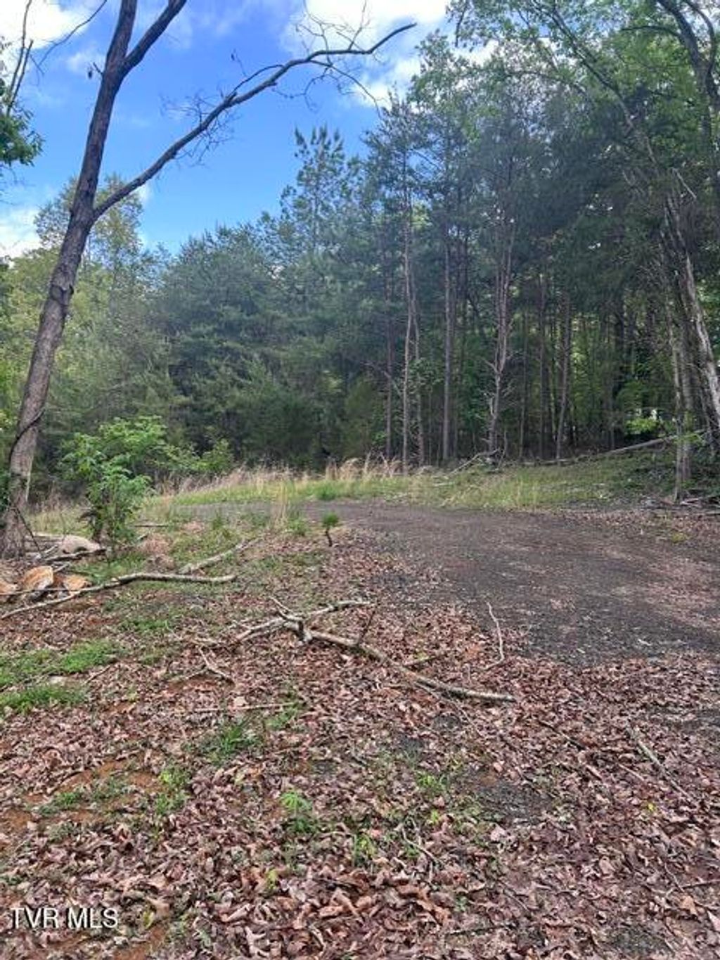 Photo of Tbd Buncombe Road, Blountville, TN 37617 (MLS # 9995198)