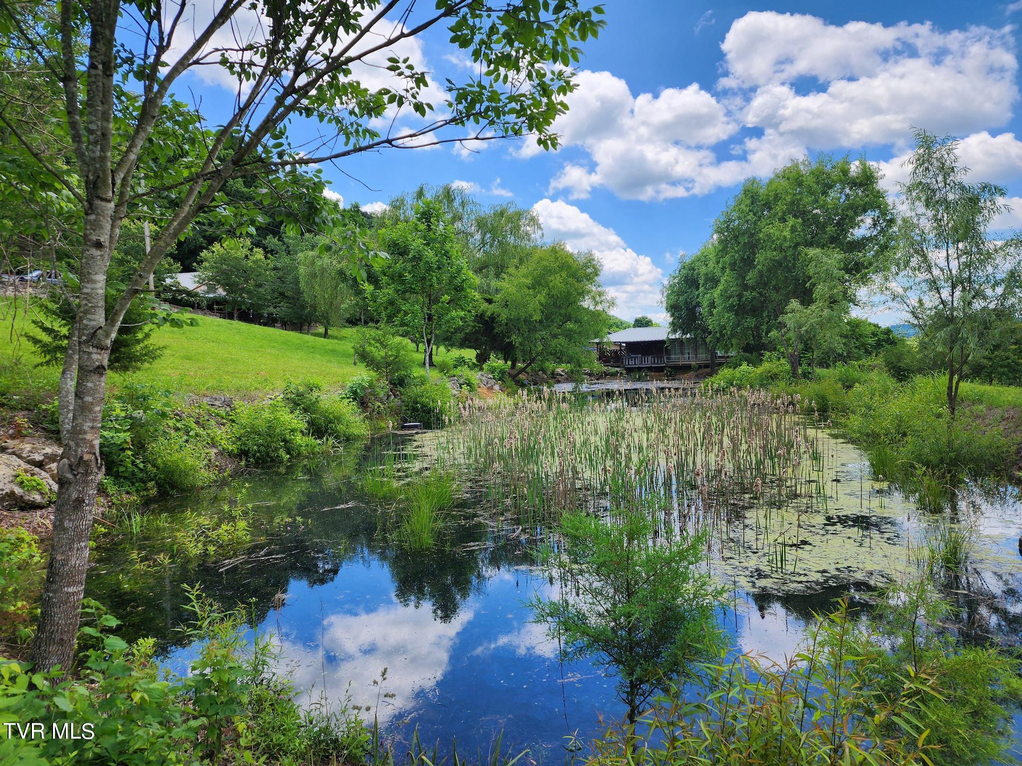 1510 Pines Road, Afton, Tennessee image 25