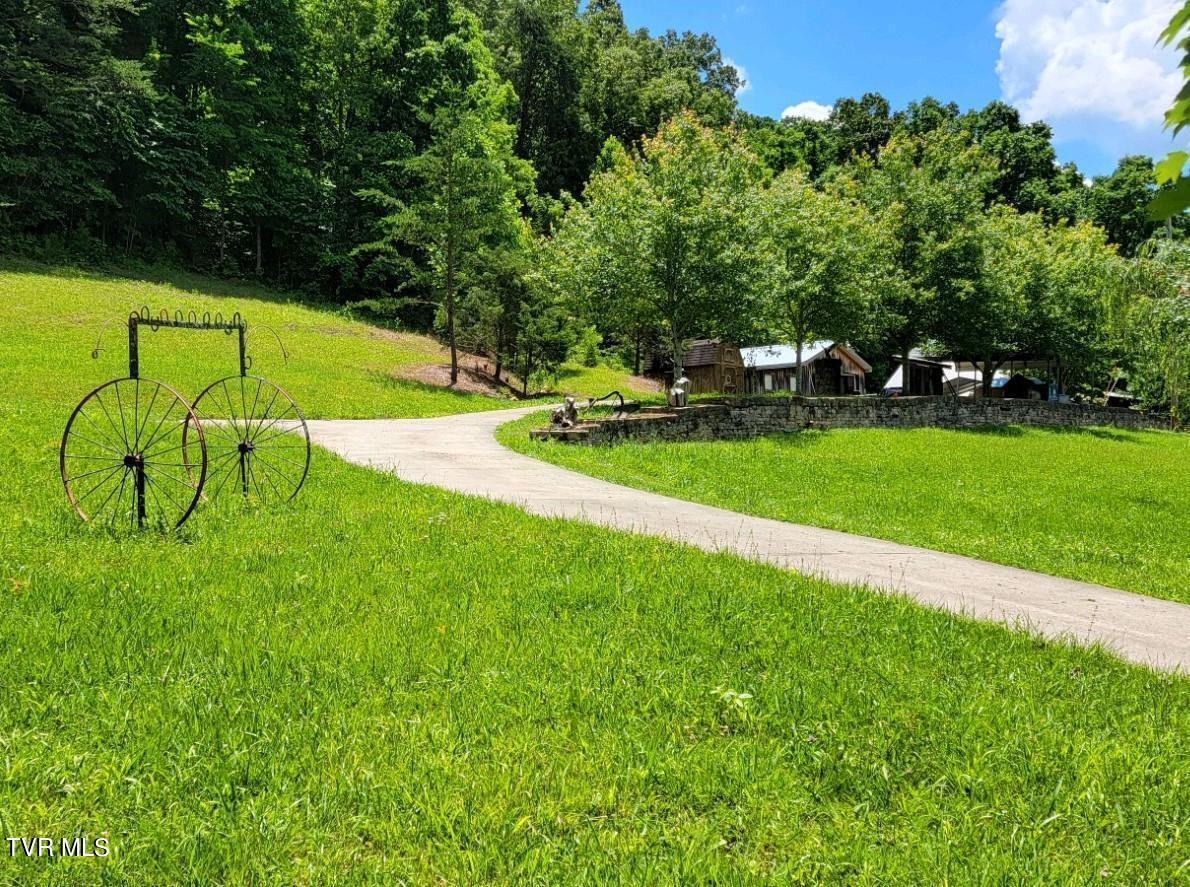 1510 Pines Road, Afton, Tennessee image 6