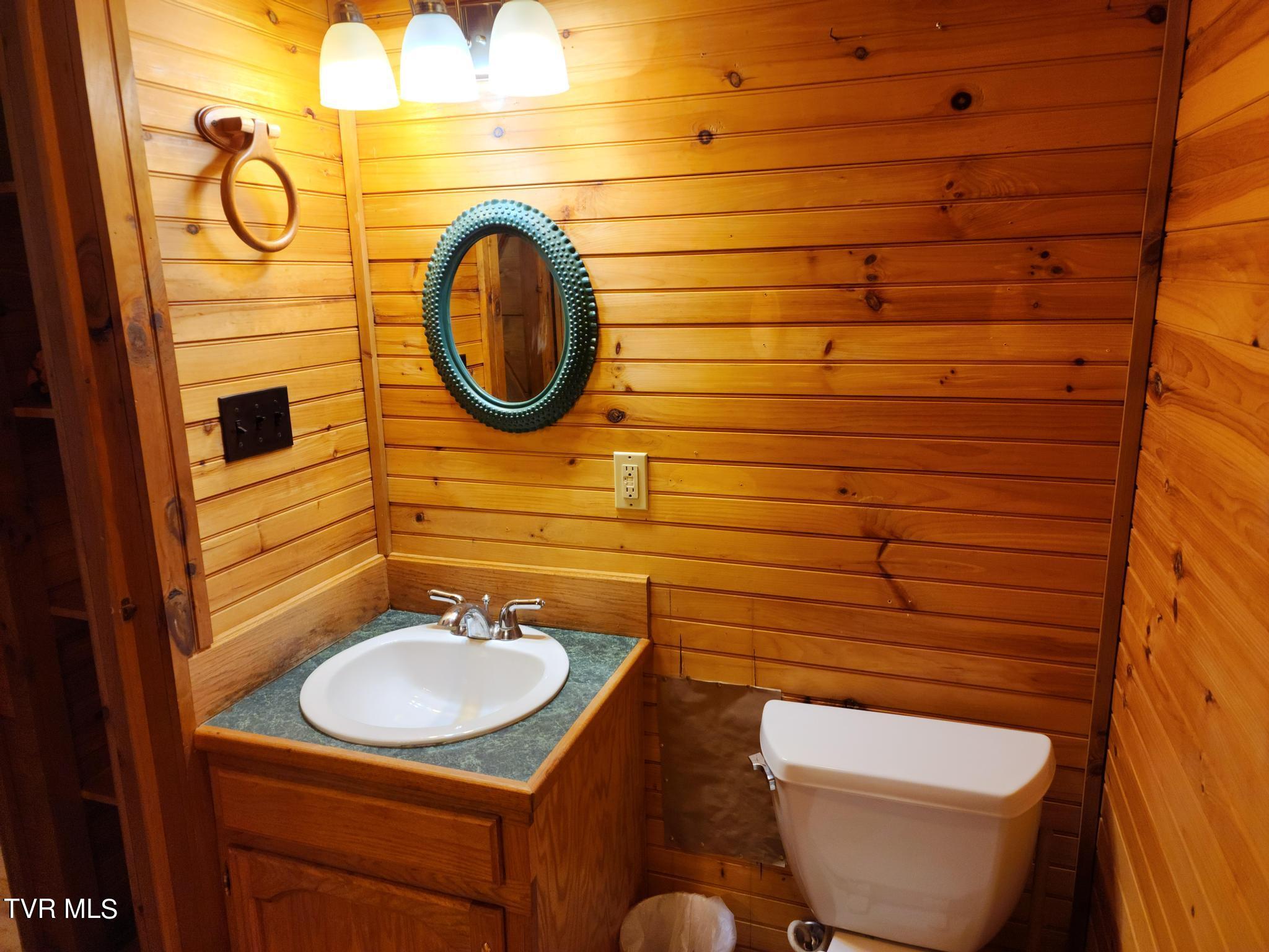 1510 Pines Road, Afton, Tennessee image 35
