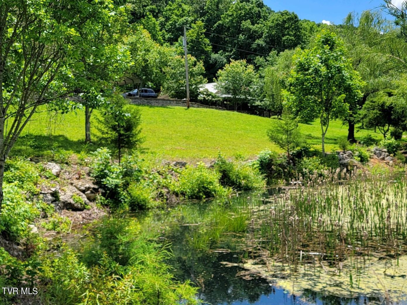 1510 Pines Road, Afton, Tennessee image 44