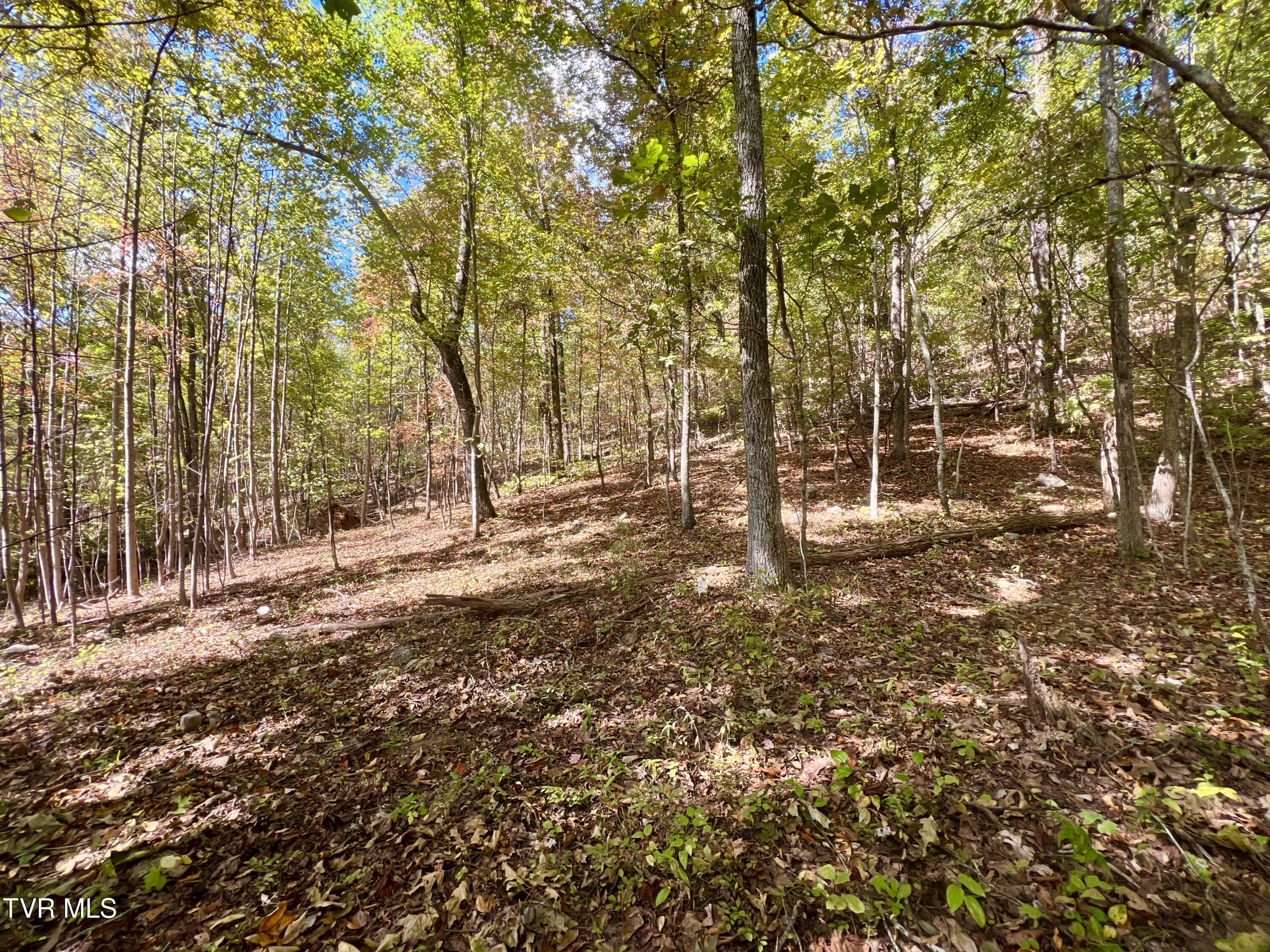 1393 Caney Valley Loop, Surgoinsville, Tennessee image 4