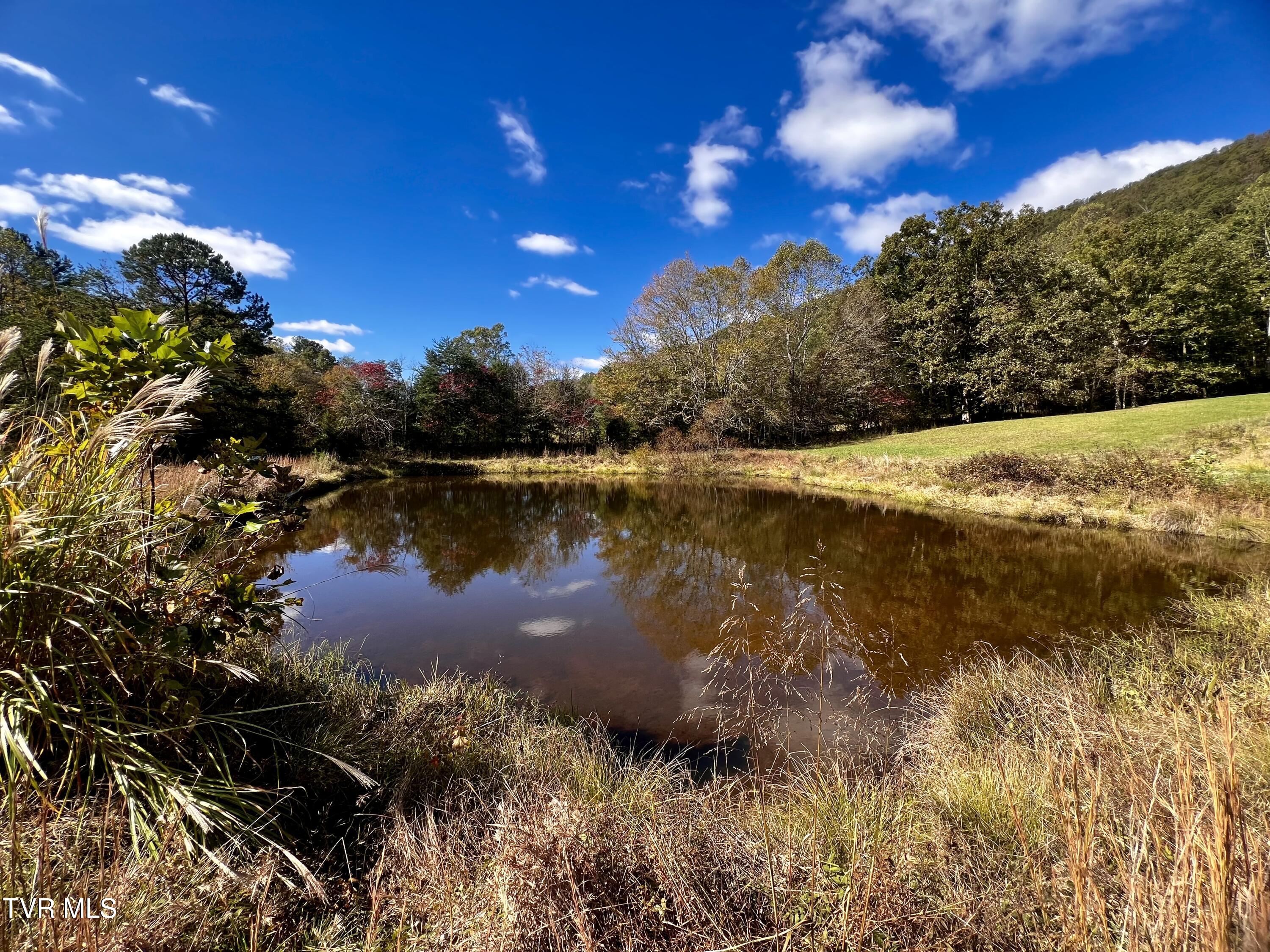 1393 Caney Valley Loop, Surgoinsville, Tennessee image 45
