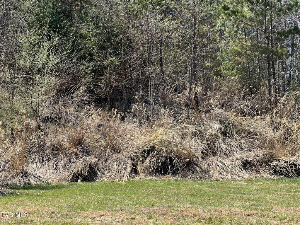 Photo of Tbd Charles Street, Clintwood, VA 24228 (MLS # 9977665)