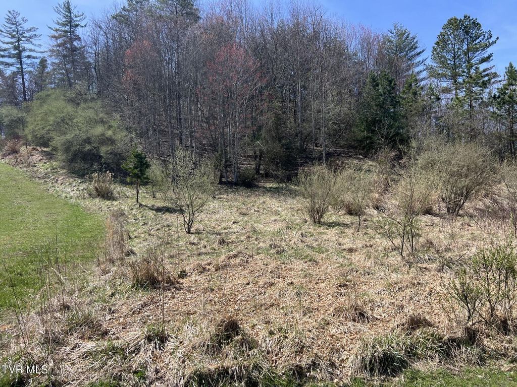 Photo of Tbd Charles Street, Clintwood, VA 24228 (MLS # 9977665)