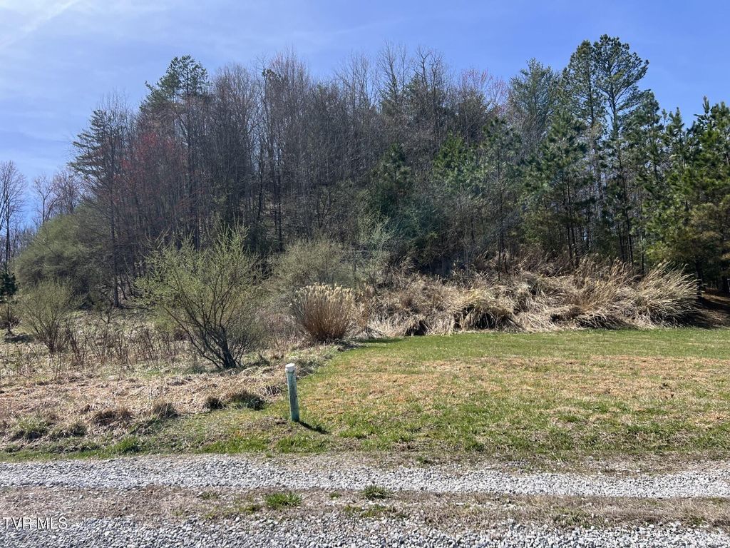 Photo of Tbd Charles Street, Clintwood, VA 24228 (MLS # 9977665)