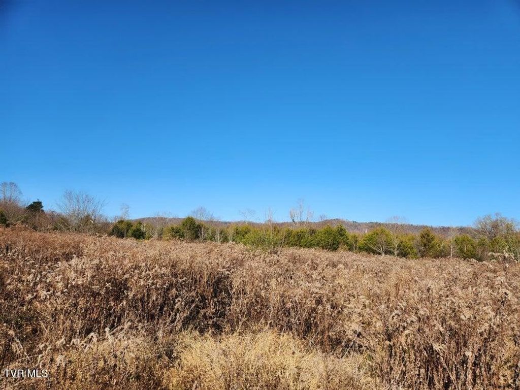 Photo of 514 Wells Hill Lane, Bulls Gap, TN 37711 (MLS # 9998348)