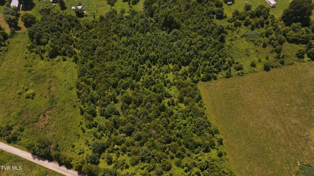 Photo of 514 Wells Hill Lane, Bulls Gap, TN 37711 (MLS # 9998348)