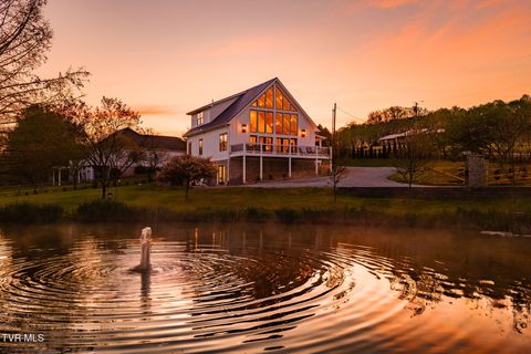 Photo of 212 County Farm Road, Jonesborough, TN 37659 (MLS # 9993926)