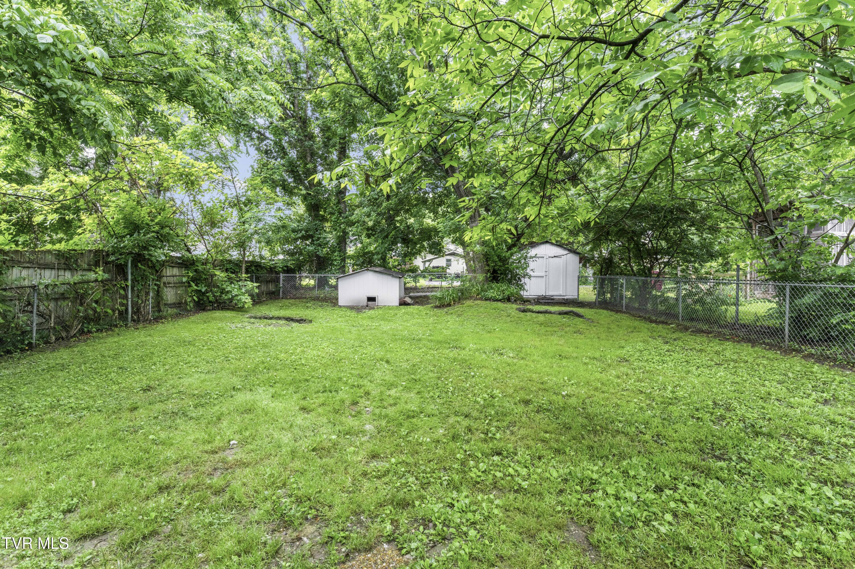 115 Poplar Street, Johnson City, Tennessee image 22