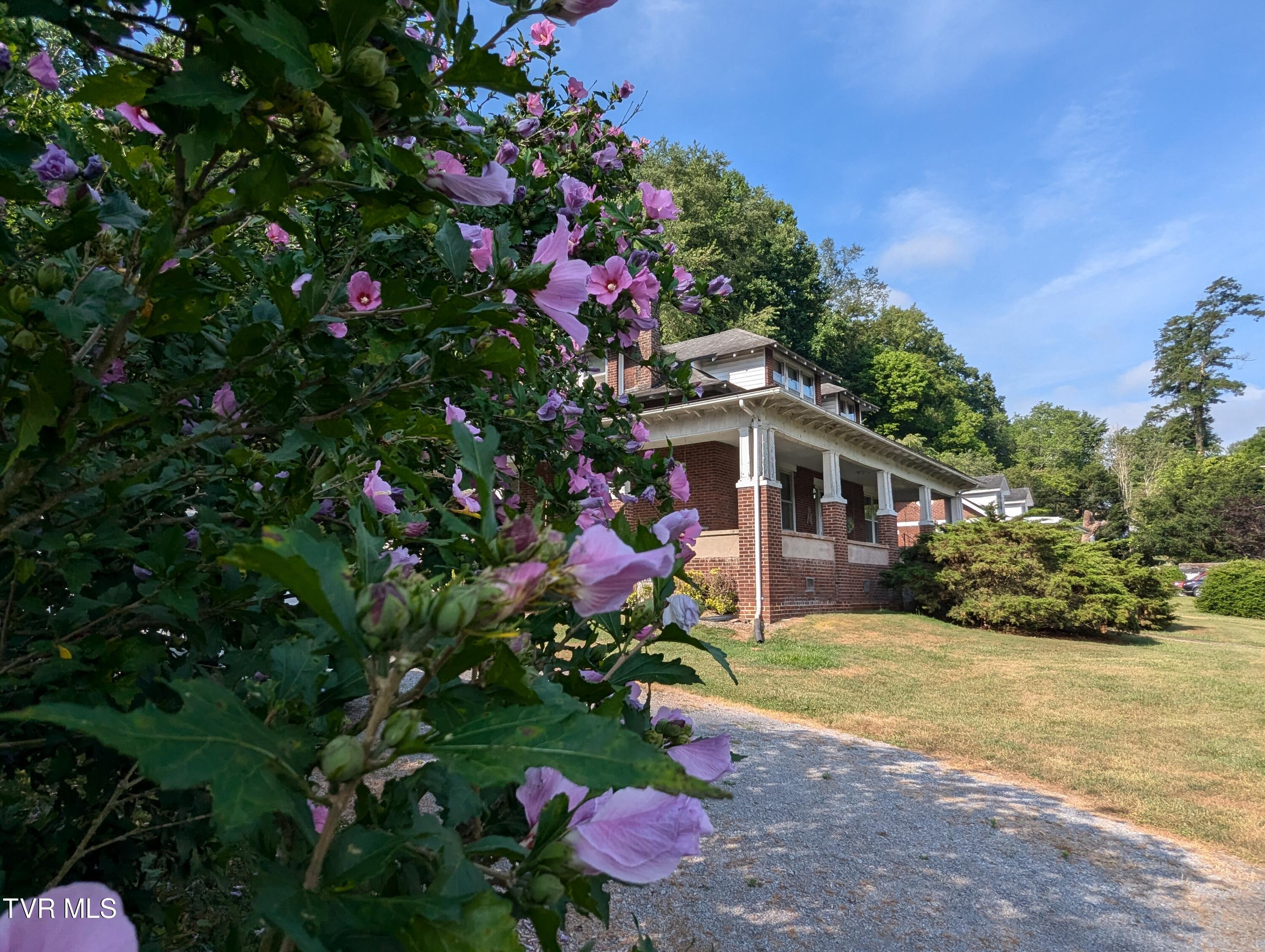 5994 Dr Thomas Walker Road, Rose Hill, Virginia image 1