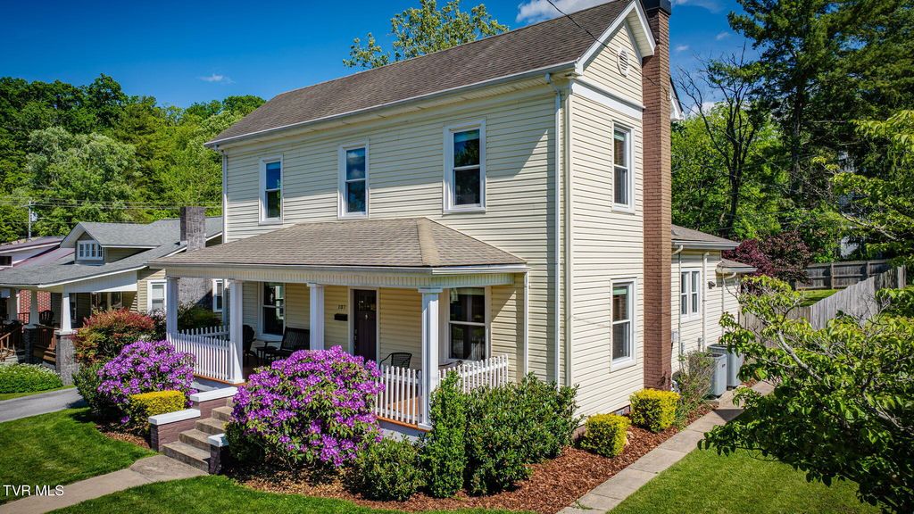 Photo of 107 Chestnut Street, Johnson City, TN 37604 (MLS # 9994829)