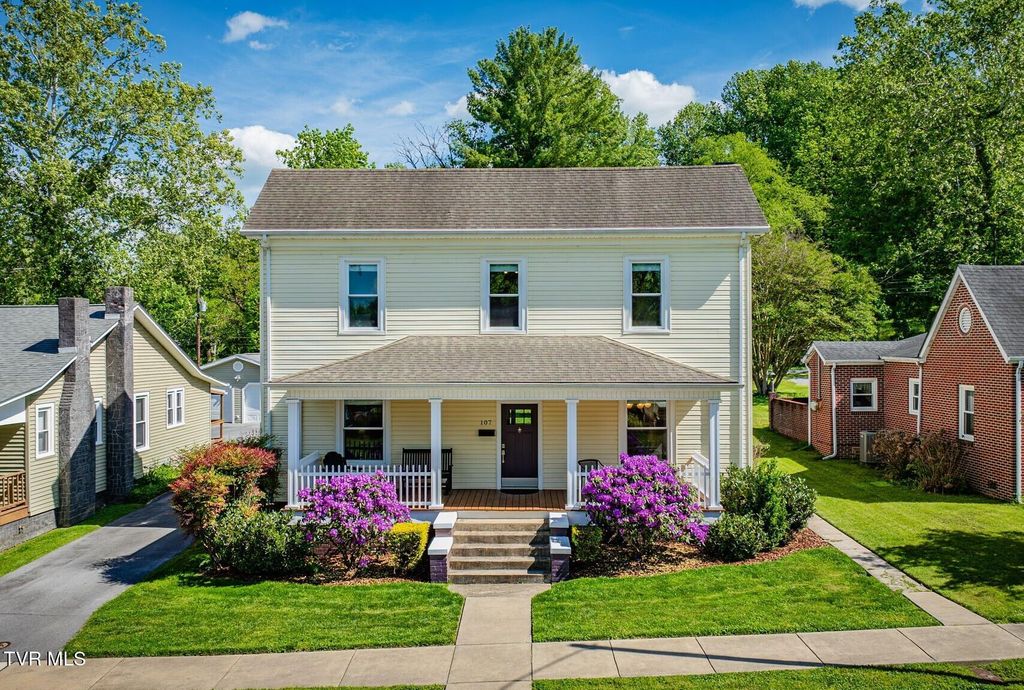 Photo of 107 Chestnut Street, Johnson City, TN 37604 (MLS # 9994829)