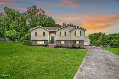 Photo of 210 Falcon View Drive, Church Hill, TN 37642 (MLS # 9995067)