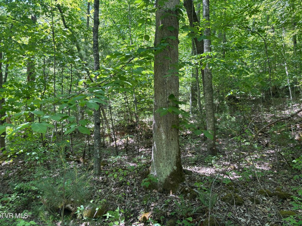 Photo of 889 Hide Away Drive, Butler, TN 37640 (MLS # 9995688)