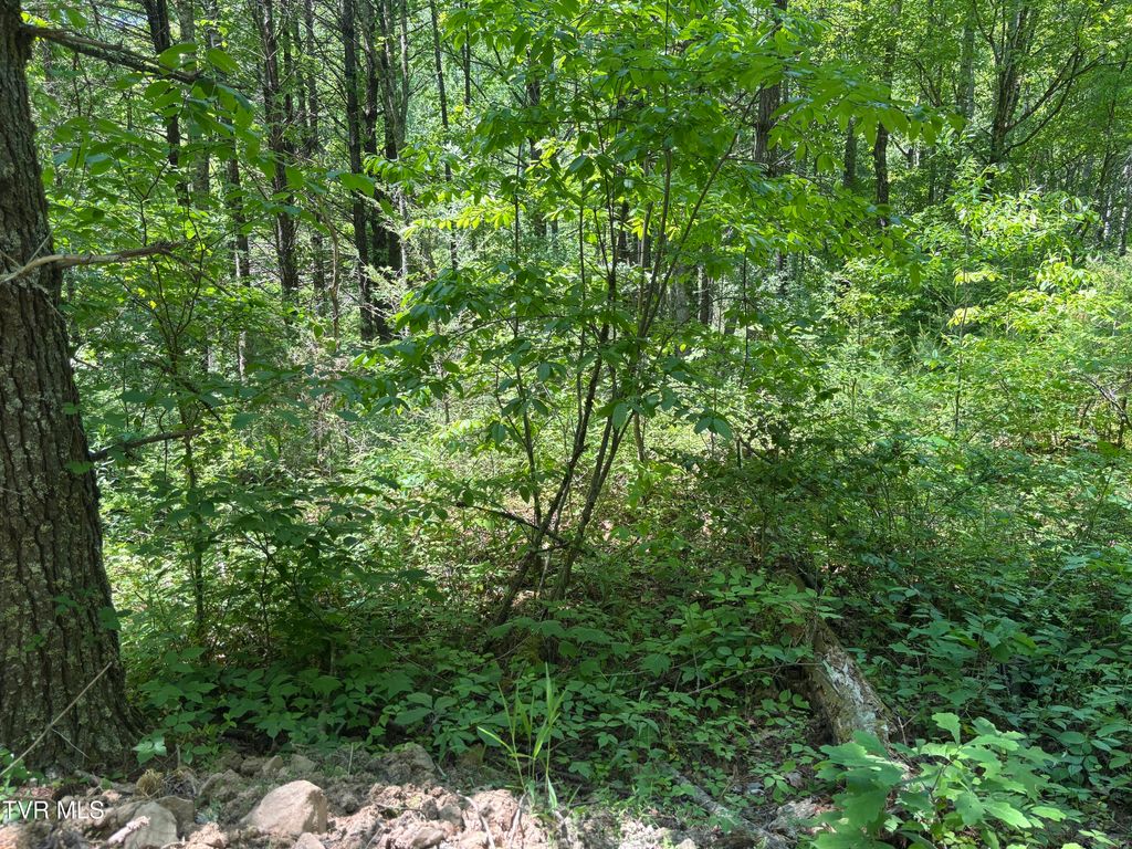 Photo of 889 Hide Away Drive, Butler, TN 37640 (MLS # 9995688)