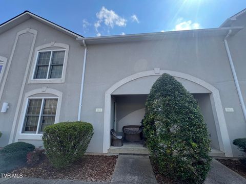 Photo of 165 Bentley Parc # 41, Johnson City, TN 37615 (MLS # 9992968)