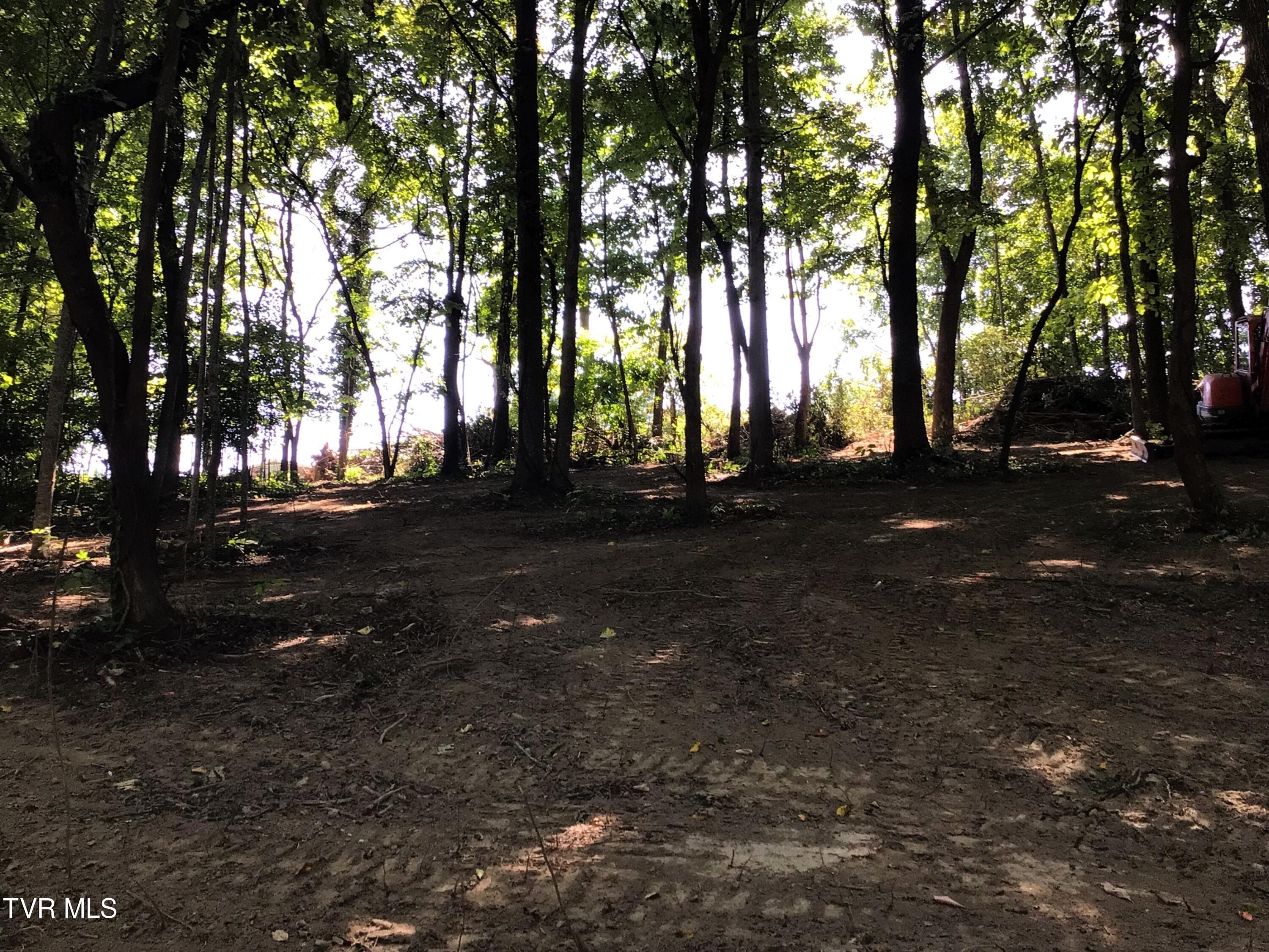 L24r Maple Crest, Greeneville, Tennessee image 8