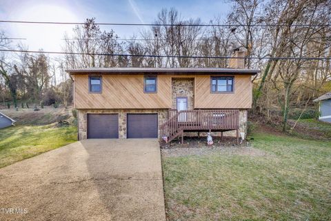 Photo of 248 River Edge Drive, Kingsport, TN 37660 (MLS # 9988904)
