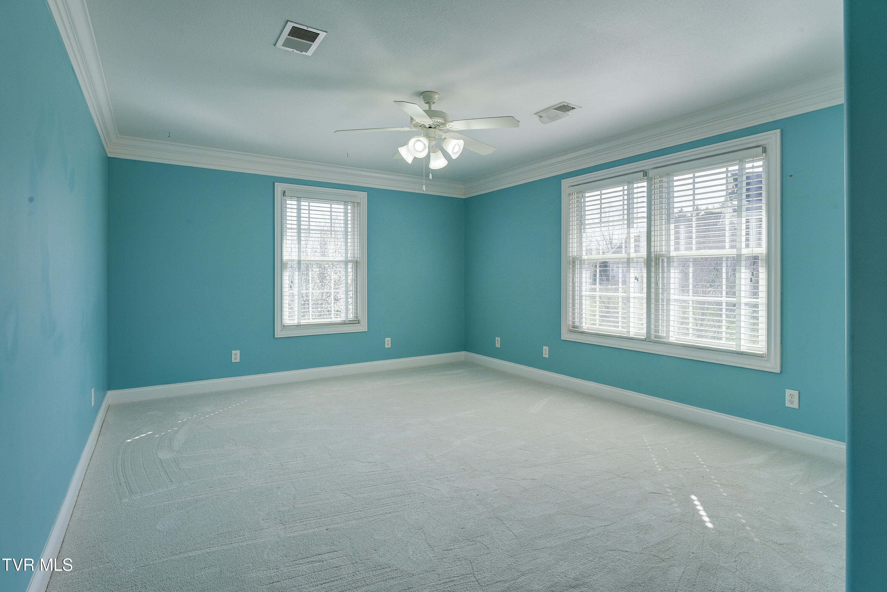 405 Heather View Drive, Jonesborough, Tennessee image 37
