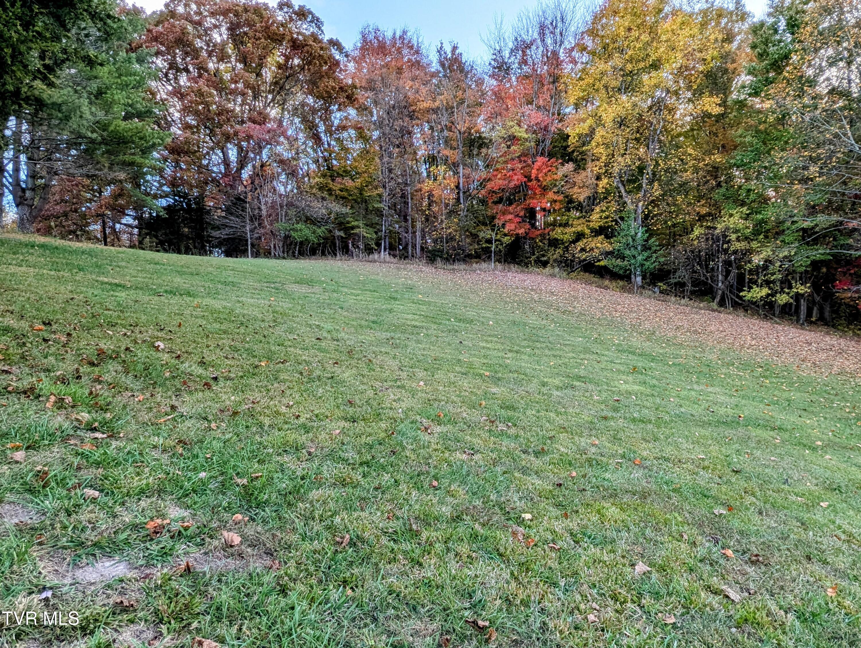 125 Atkins Drive, Elizabethton, Tennessee image 21