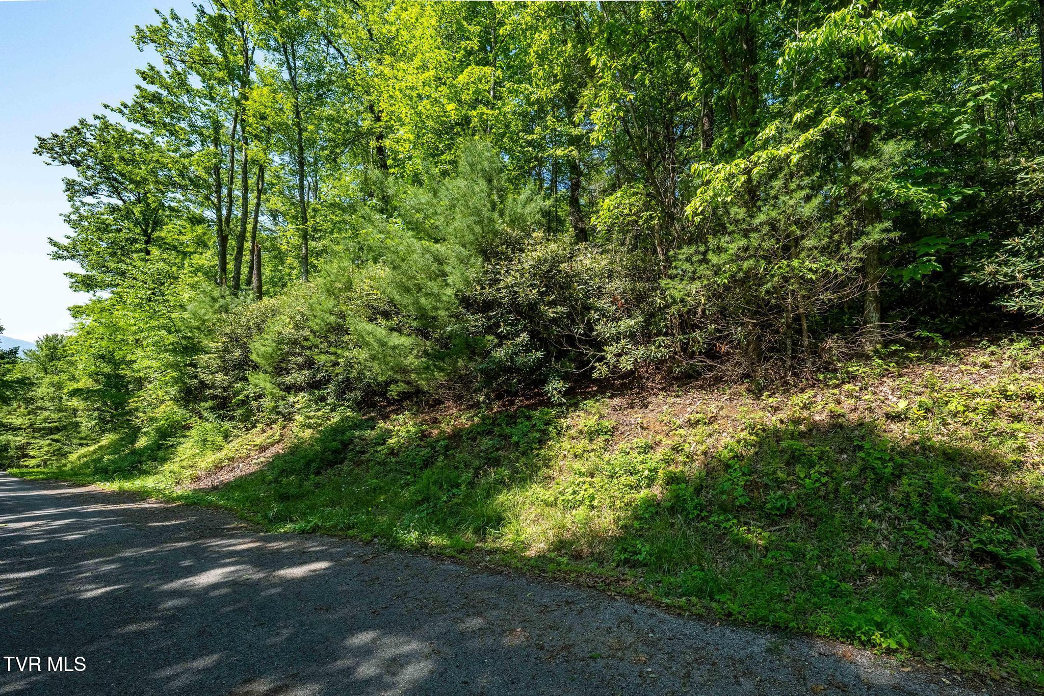 Tbd Longview Private Drive, Mountain City, Tennessee image 15
