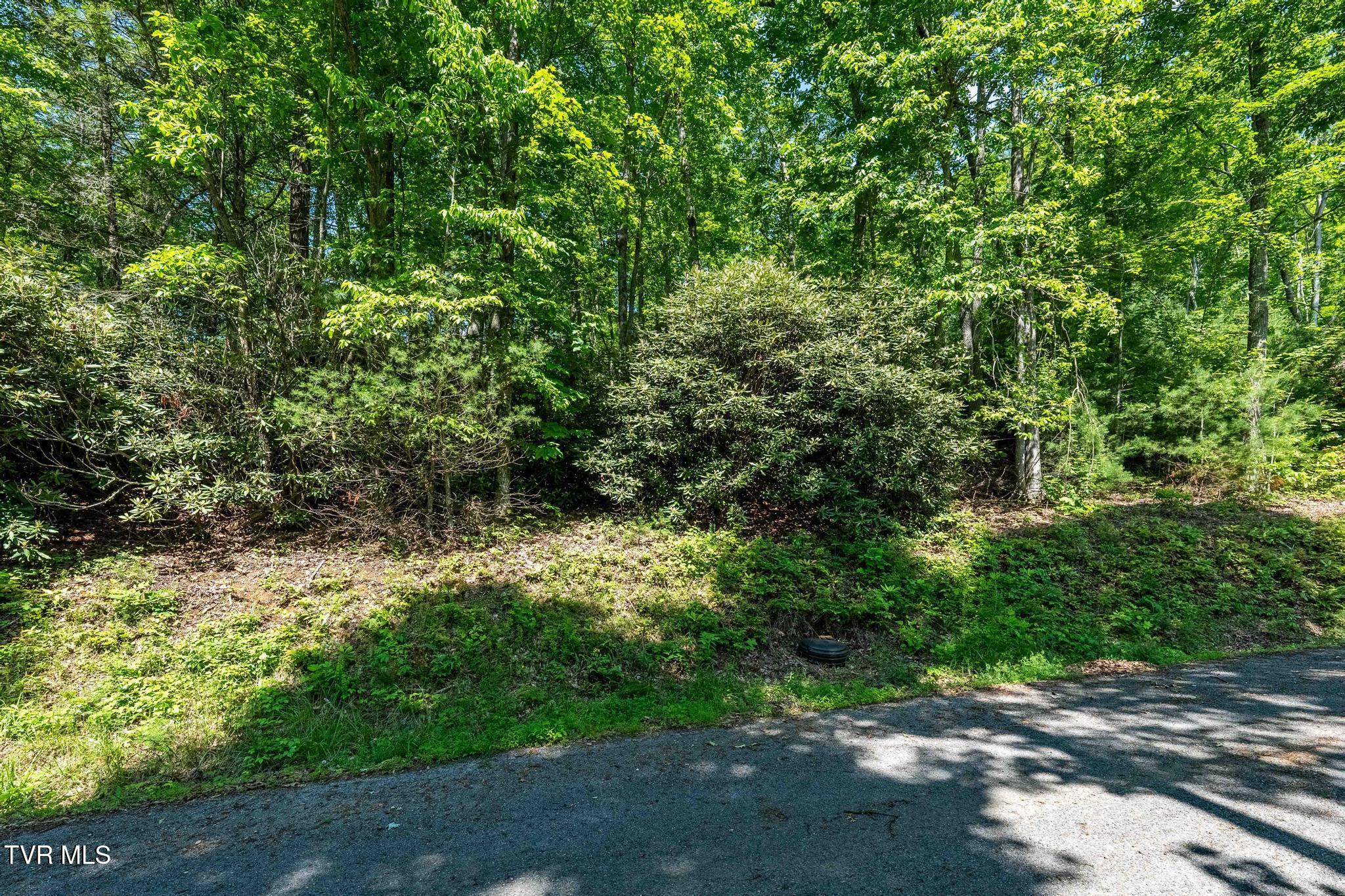 Tbd Longview Private Drive, Mountain City, Tennessee image 14