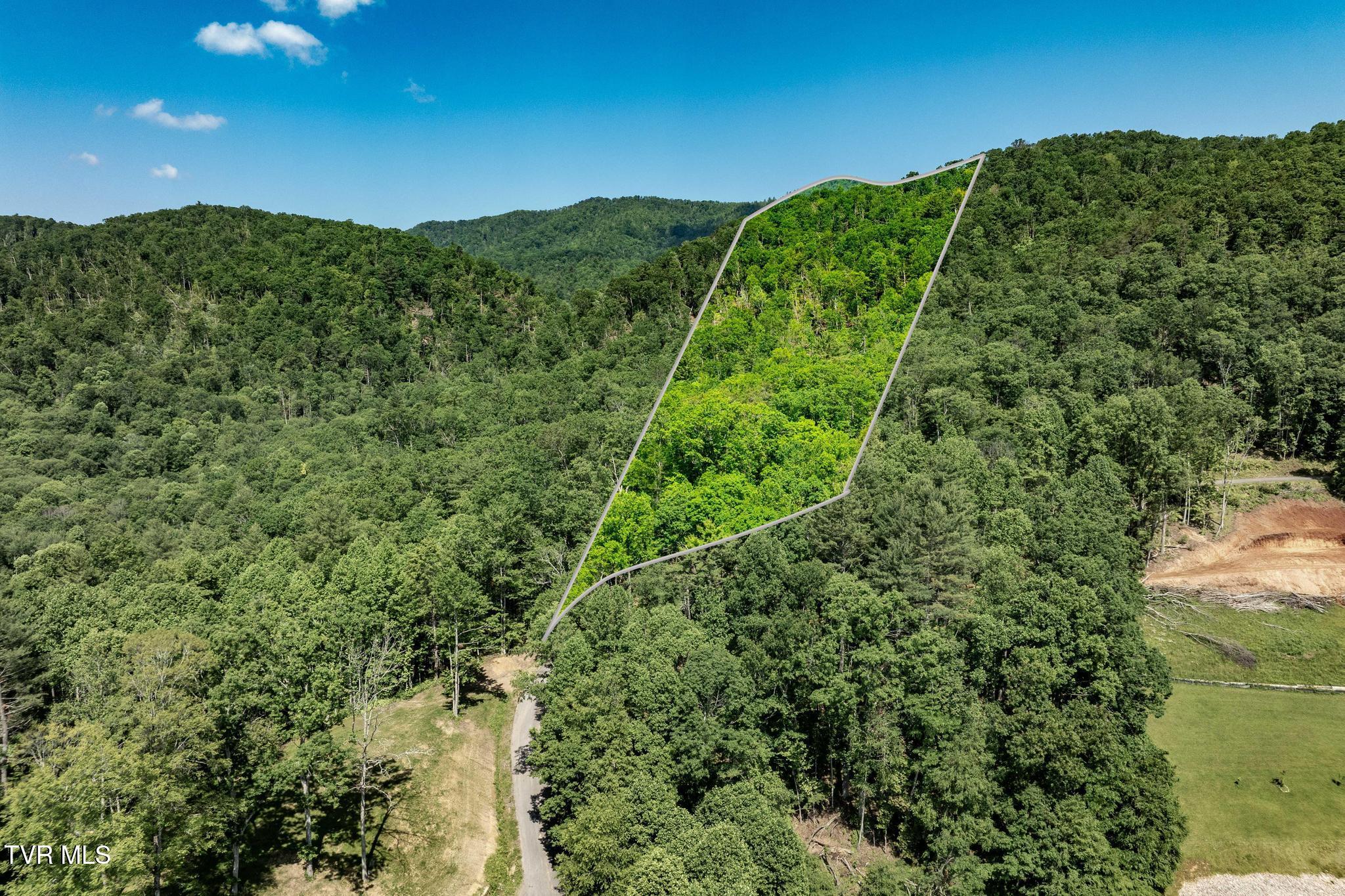 Tbd Longview Private Drive, Mountain City, Tennessee image 4