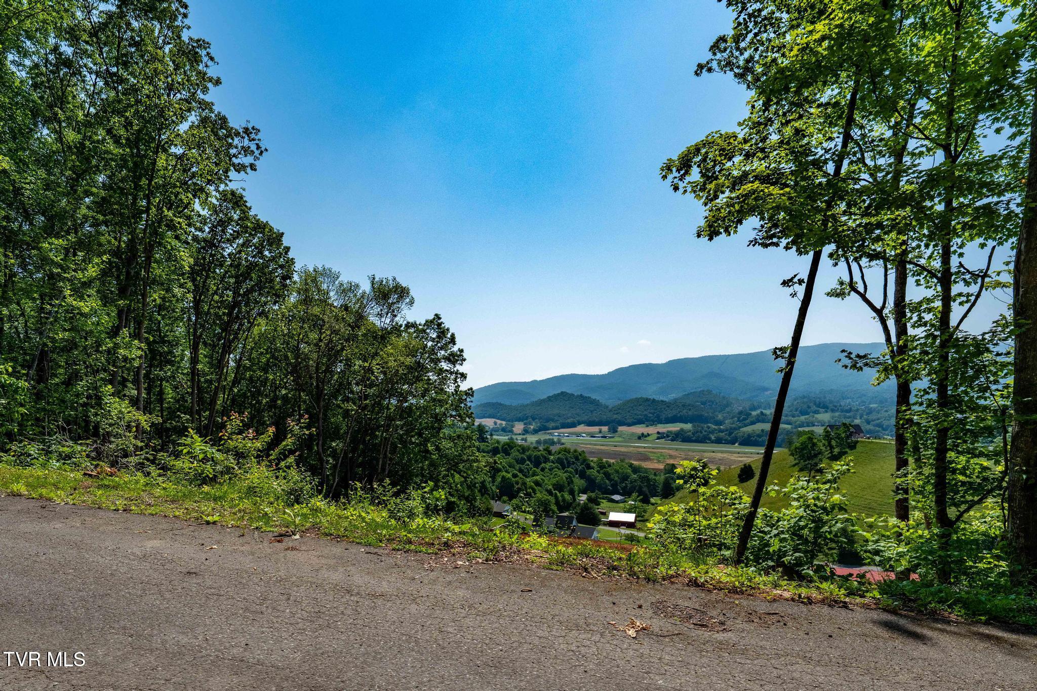 Tbd Longview Private Drive, Mountain City, Tennessee image 1
