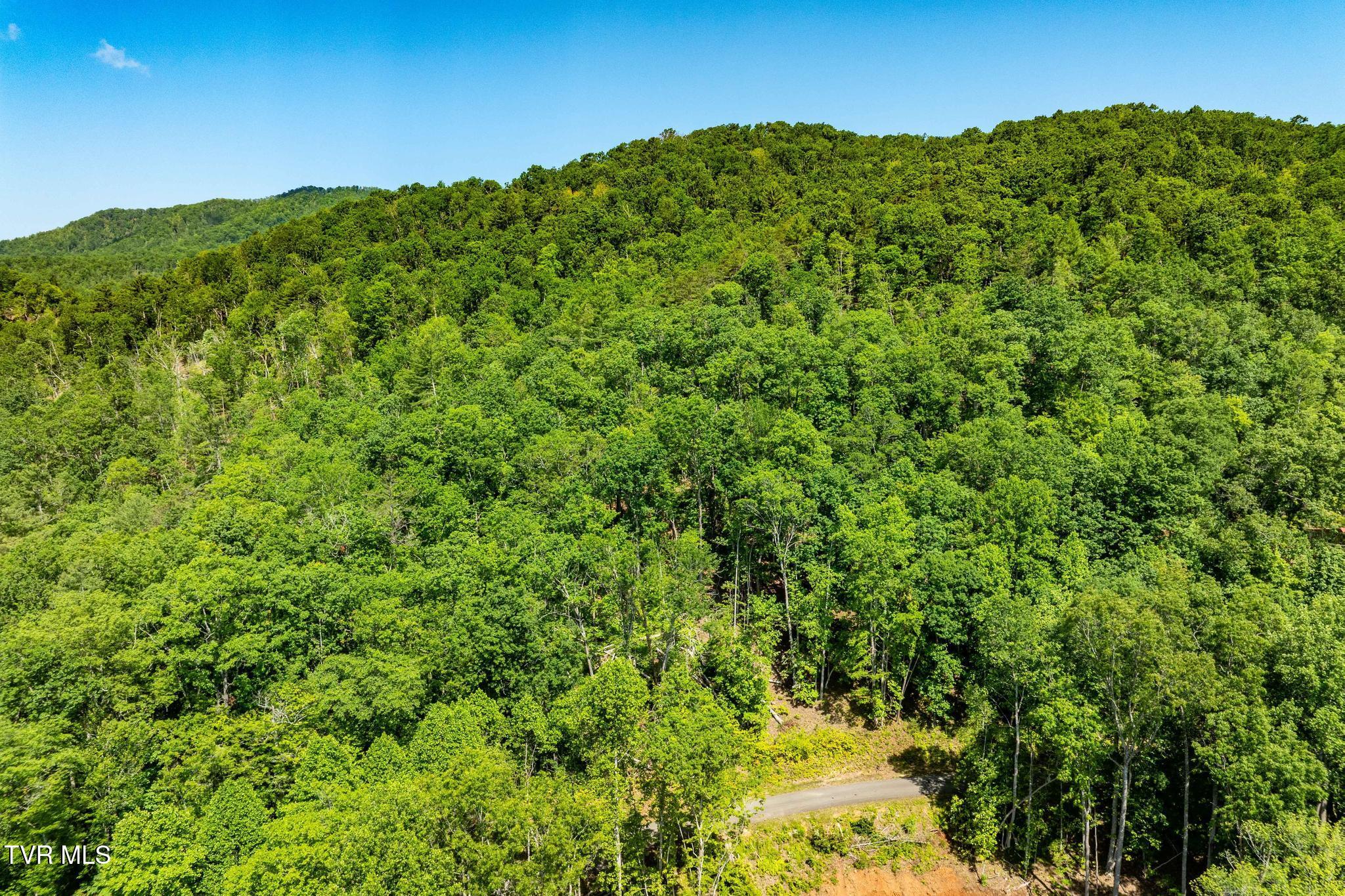 Tbd Longview Private Drive, Mountain City, Tennessee image 7