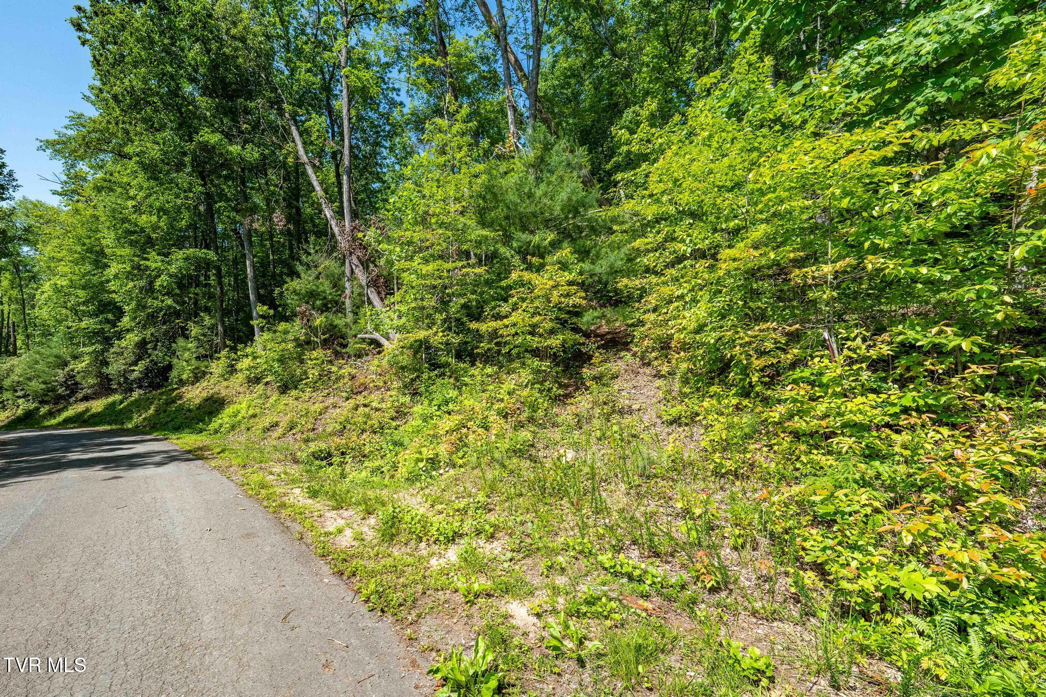 Tbd Longview Private Drive, Mountain City, Tennessee image 17