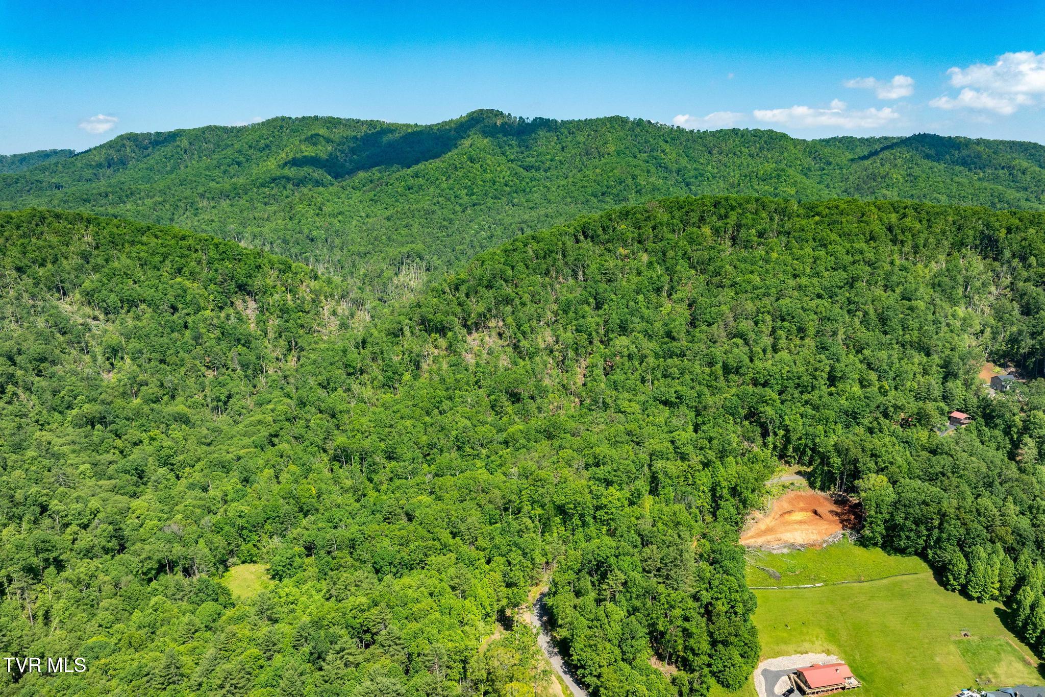 Tbd Longview Private Drive, Mountain City, Tennessee image 5