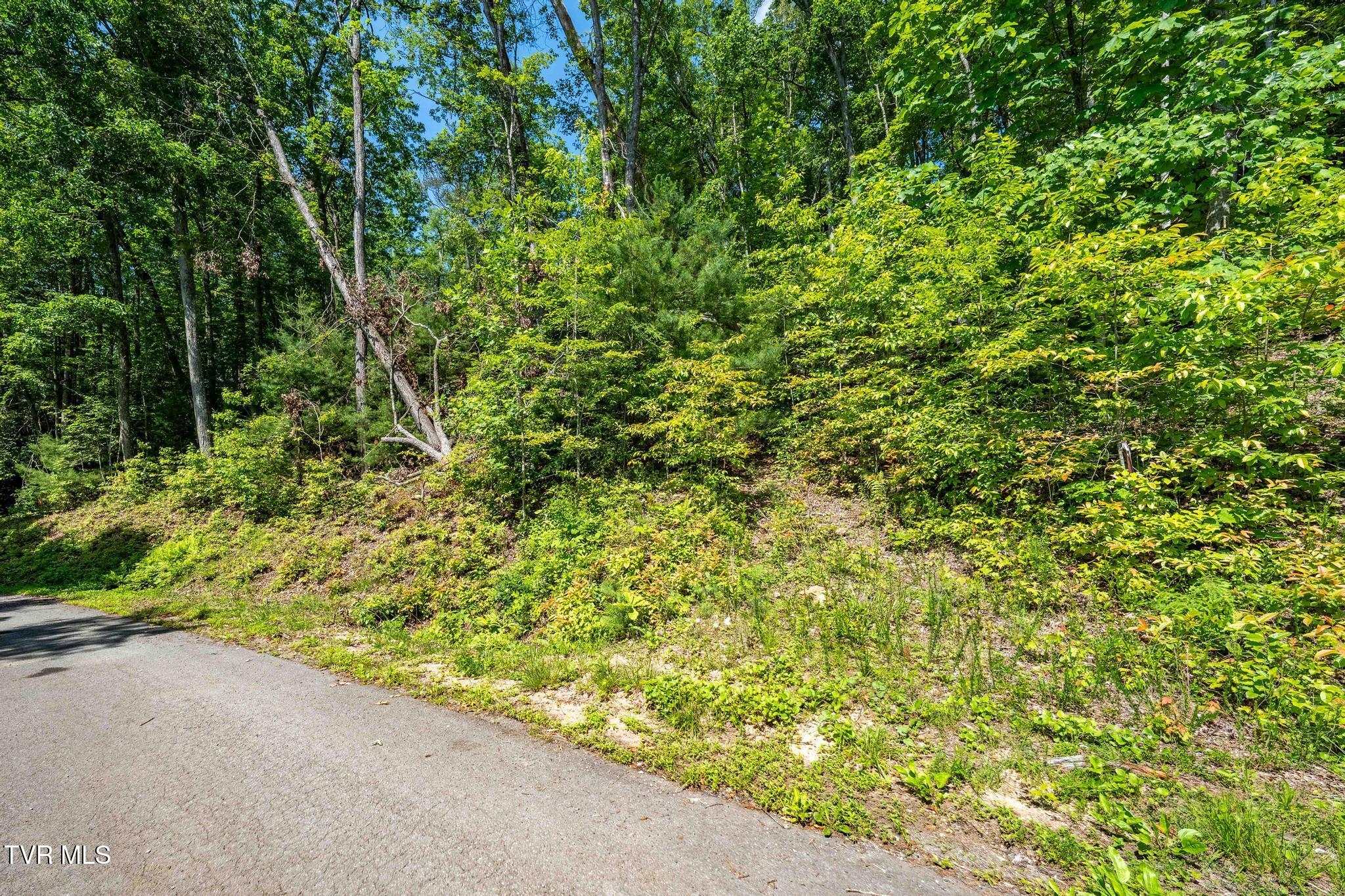 Tbd Longview Private Drive, Mountain City, Tennessee image 18