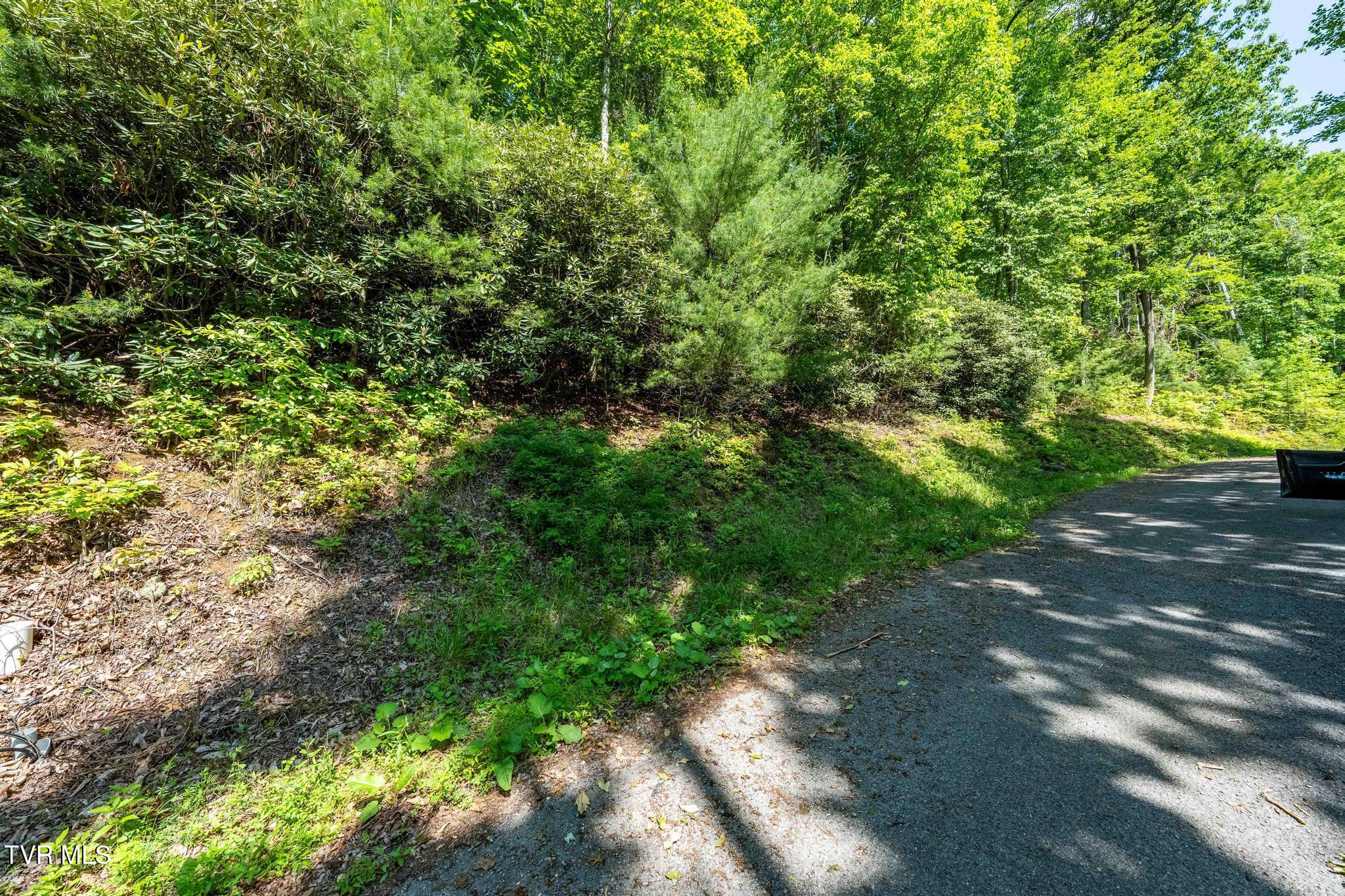 Tbd Longview Private Drive, Mountain City, Tennessee image 13