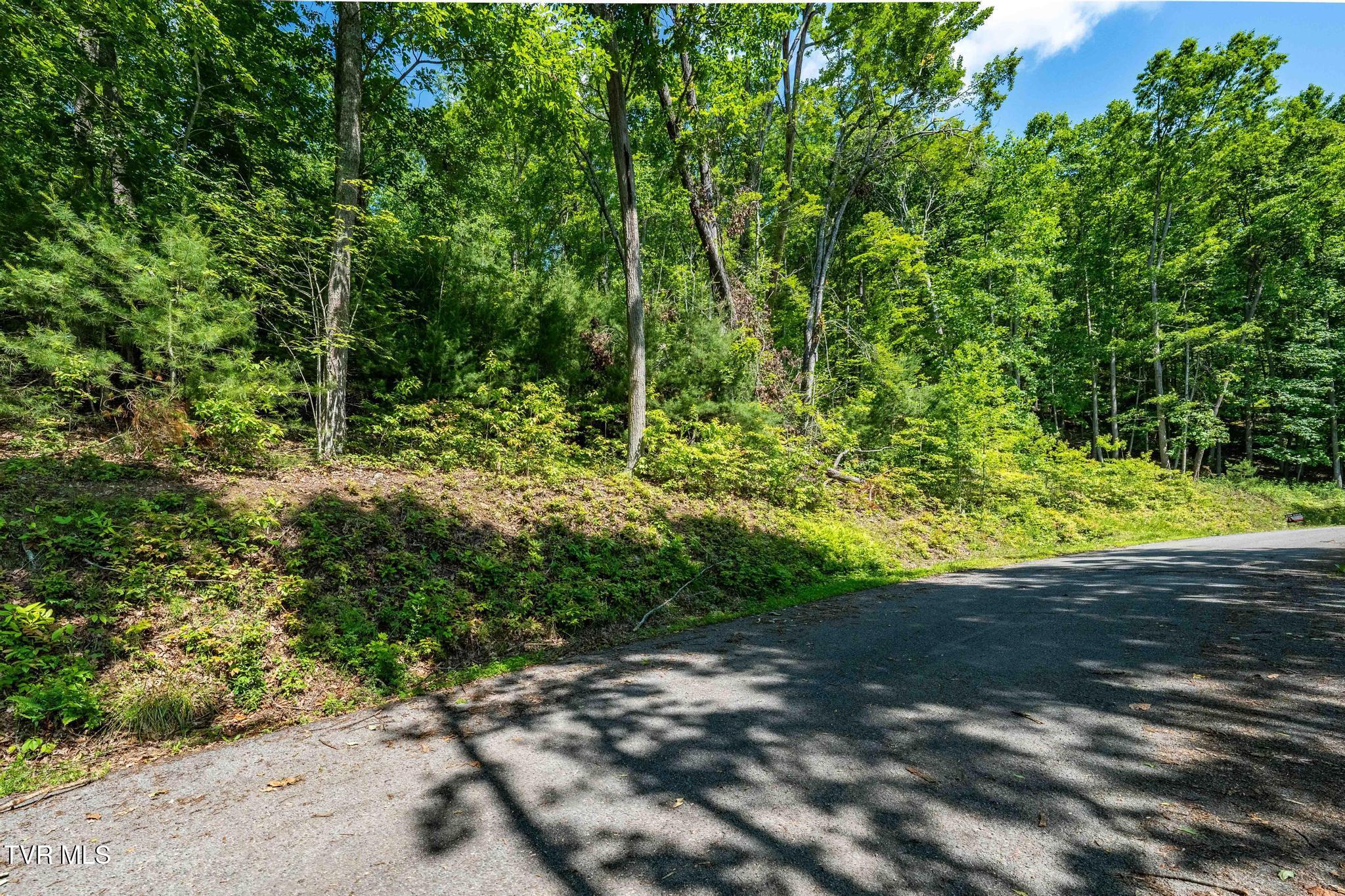 Tbd Longview Private Drive, Mountain City, Tennessee image 16