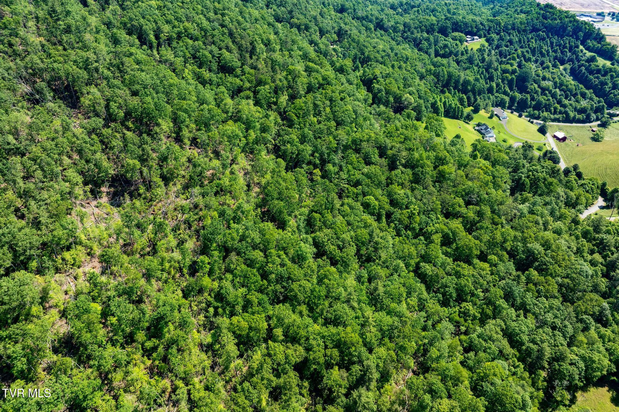 Tbd Longview Private Drive, Mountain City, Tennessee image 12
