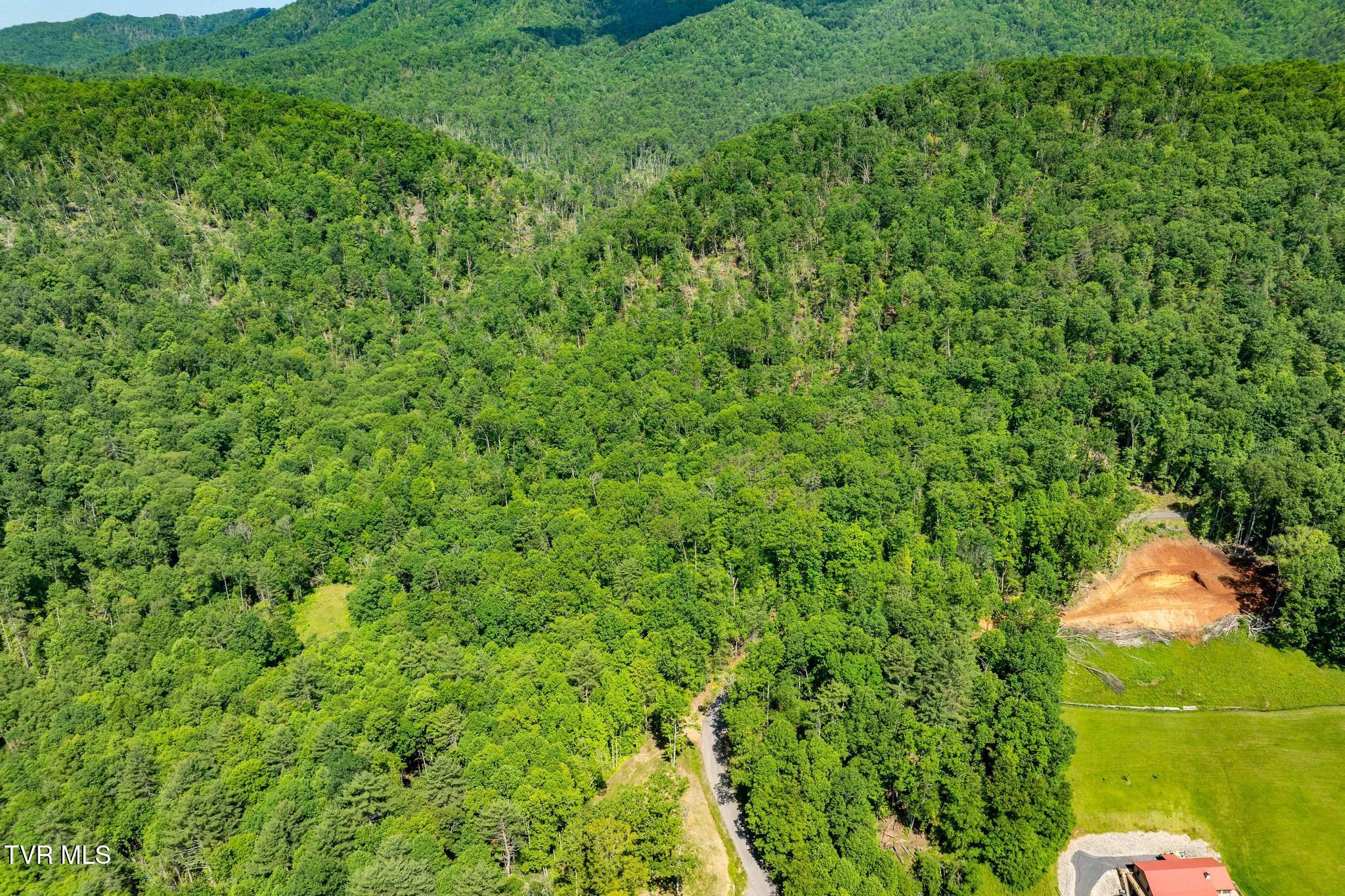 Tbd Longview Private Drive, Mountain City, Tennessee image 6