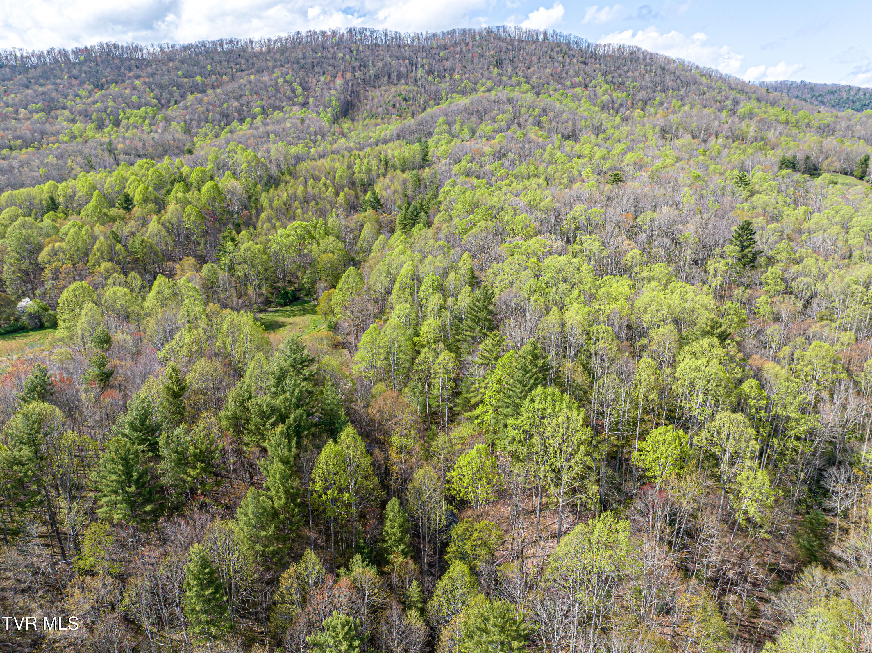 513 Beadwood Lane, Damascus, Virginia image 36
