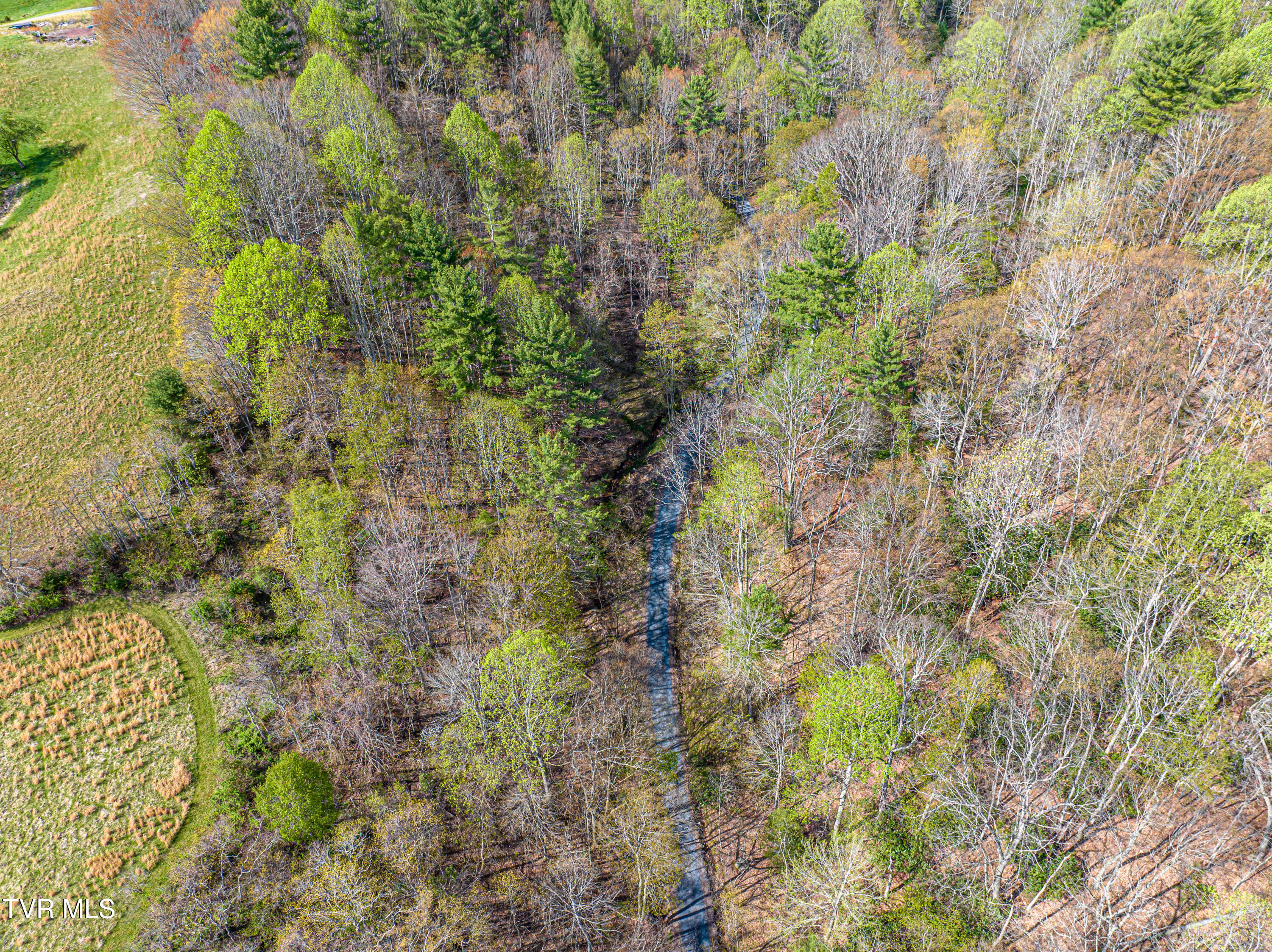 513 Beadwood Lane, Damascus, Virginia image 17