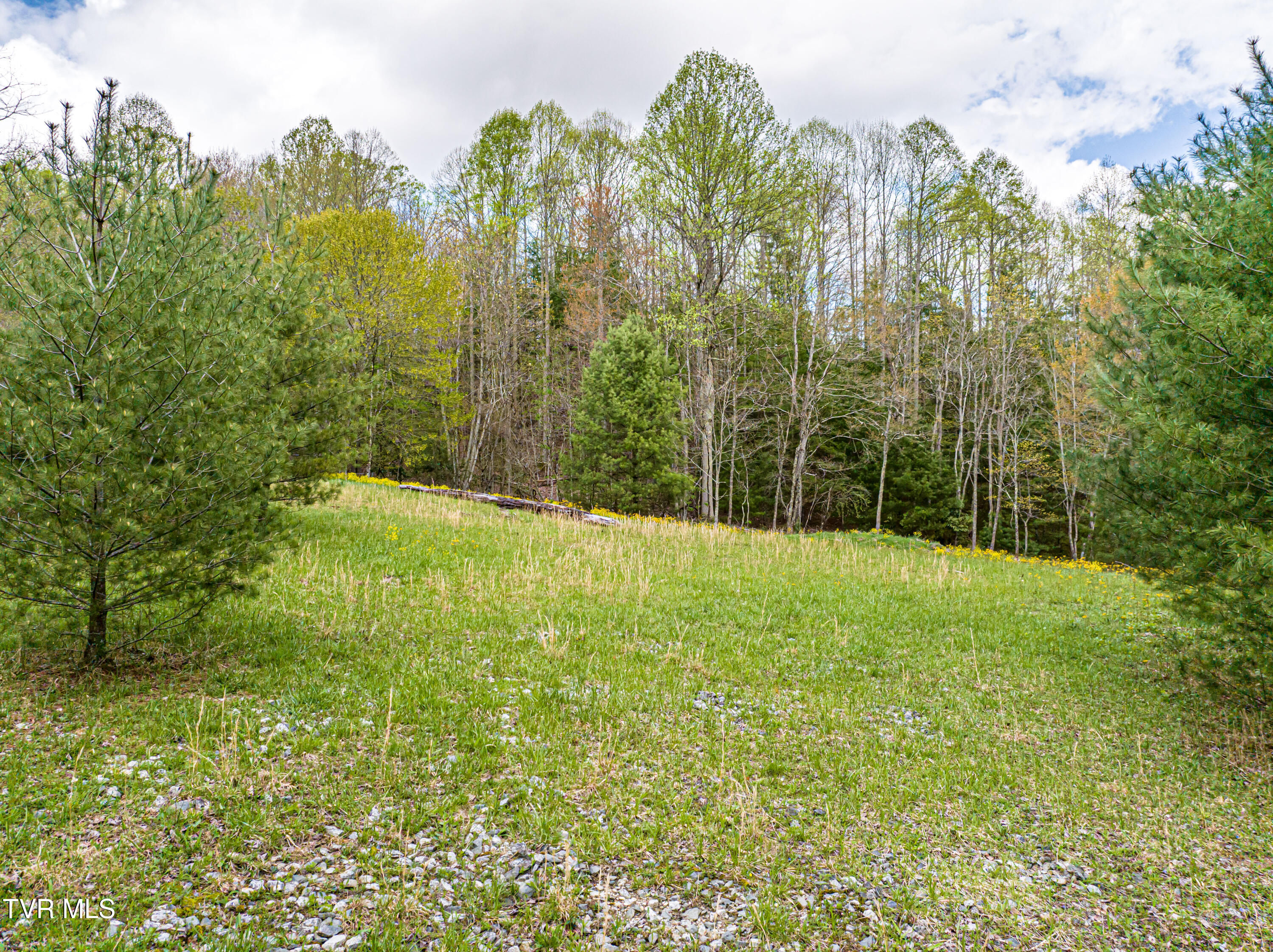 513 Beadwood Lane, Damascus, Virginia image 19
