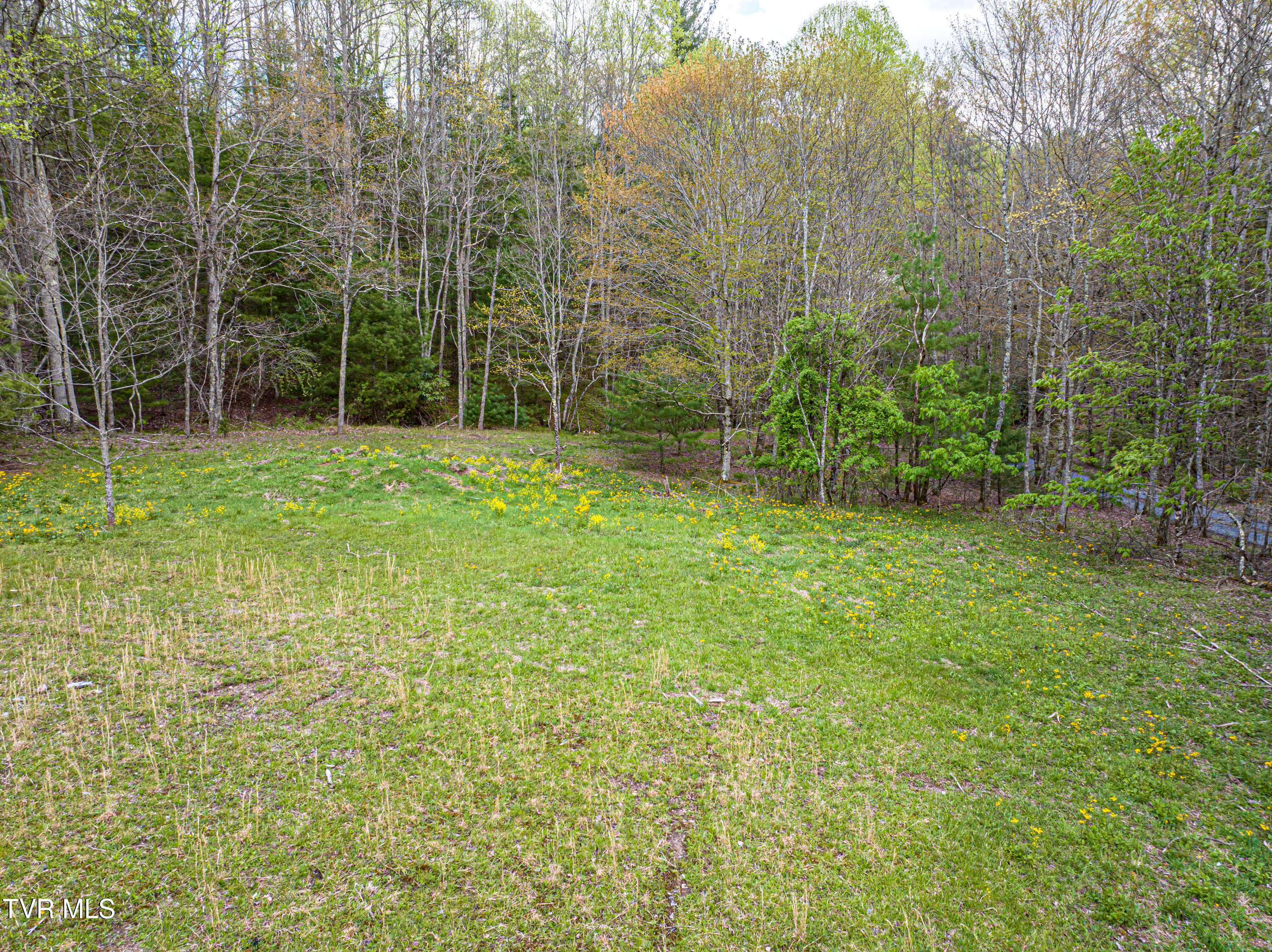 513 Beadwood Lane, Damascus, Virginia image 20