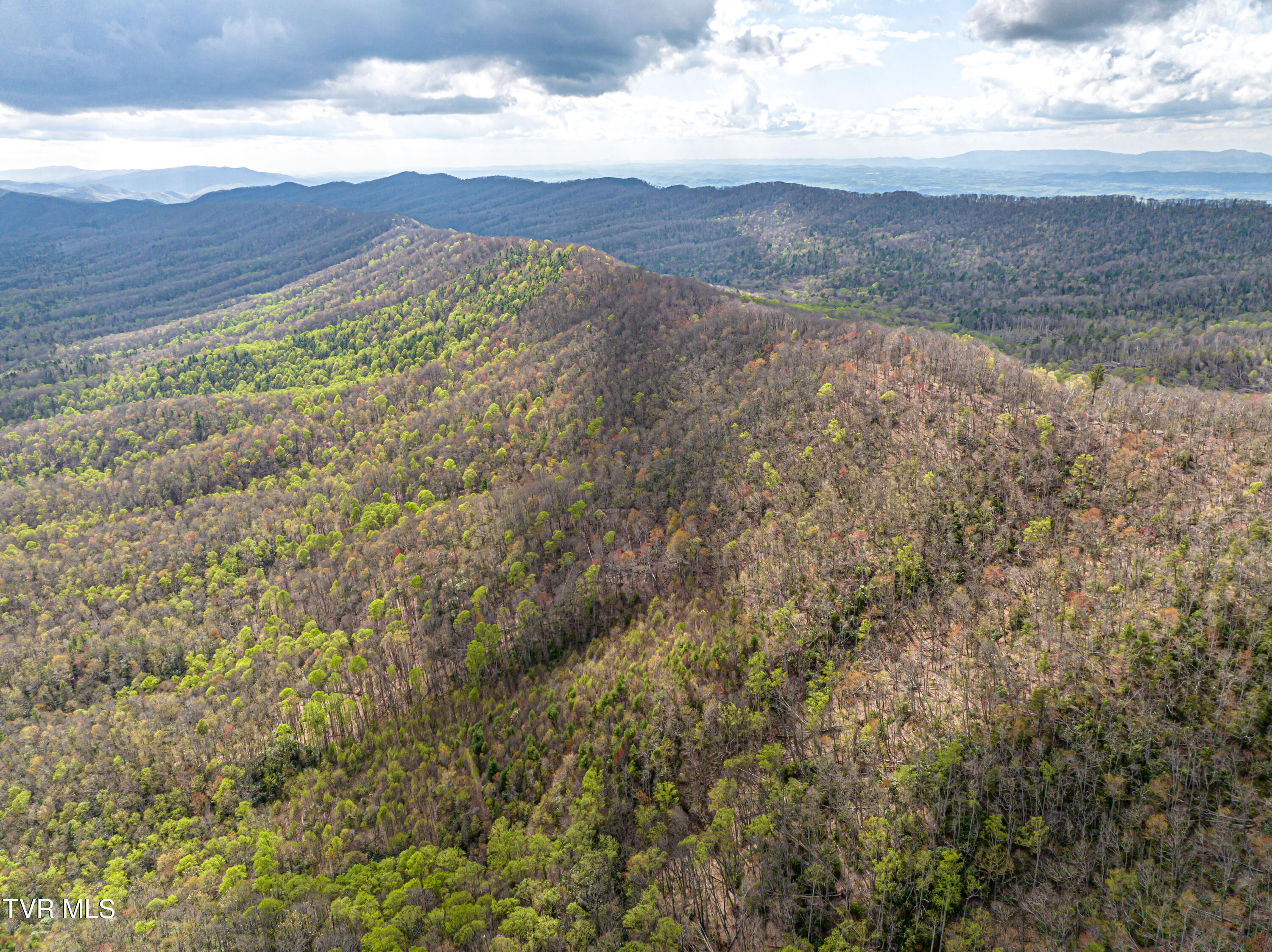 513 Beadwood Lane, Damascus, Virginia image 35