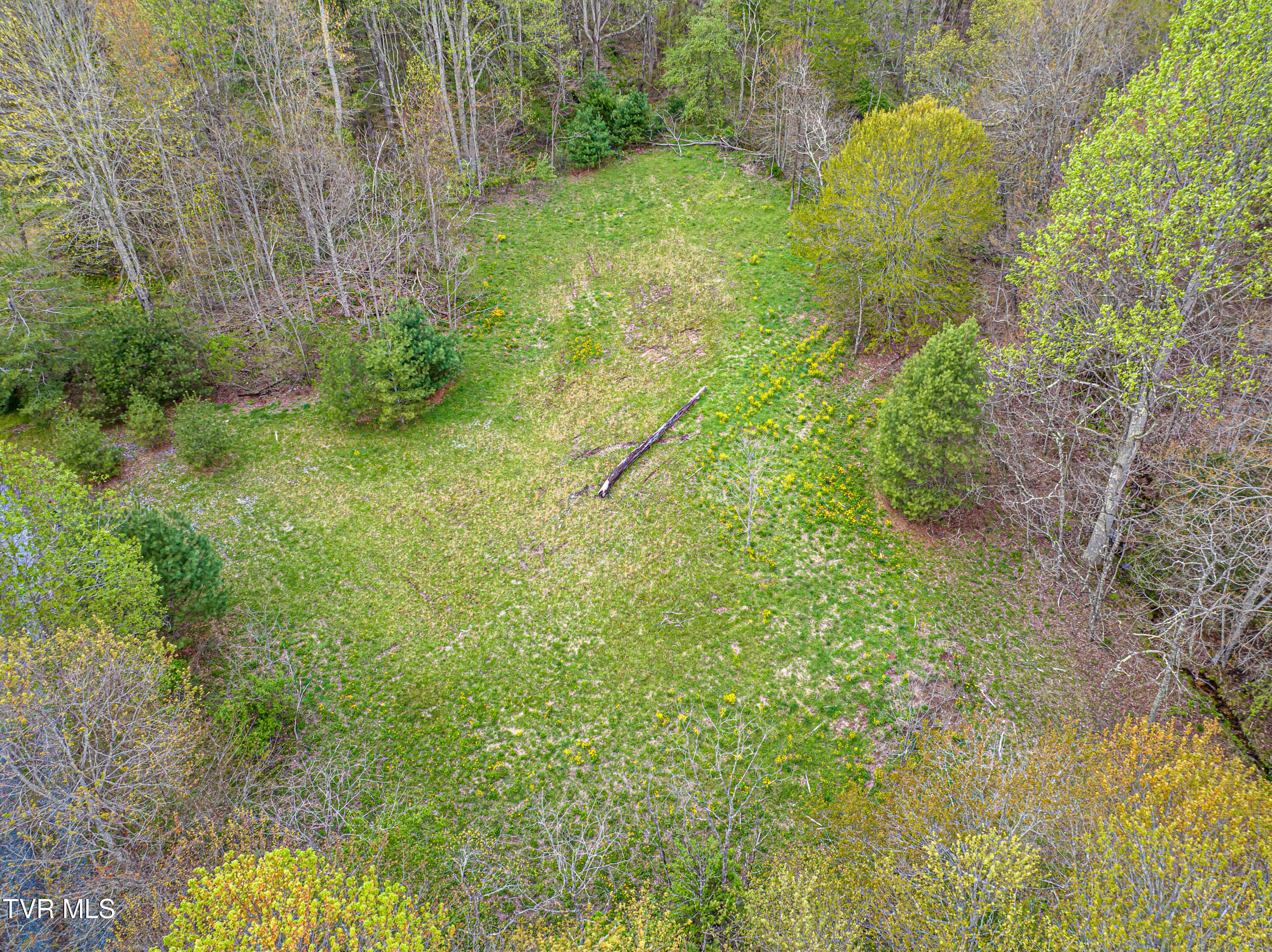 513 Beadwood Lane, Damascus, Virginia image 23